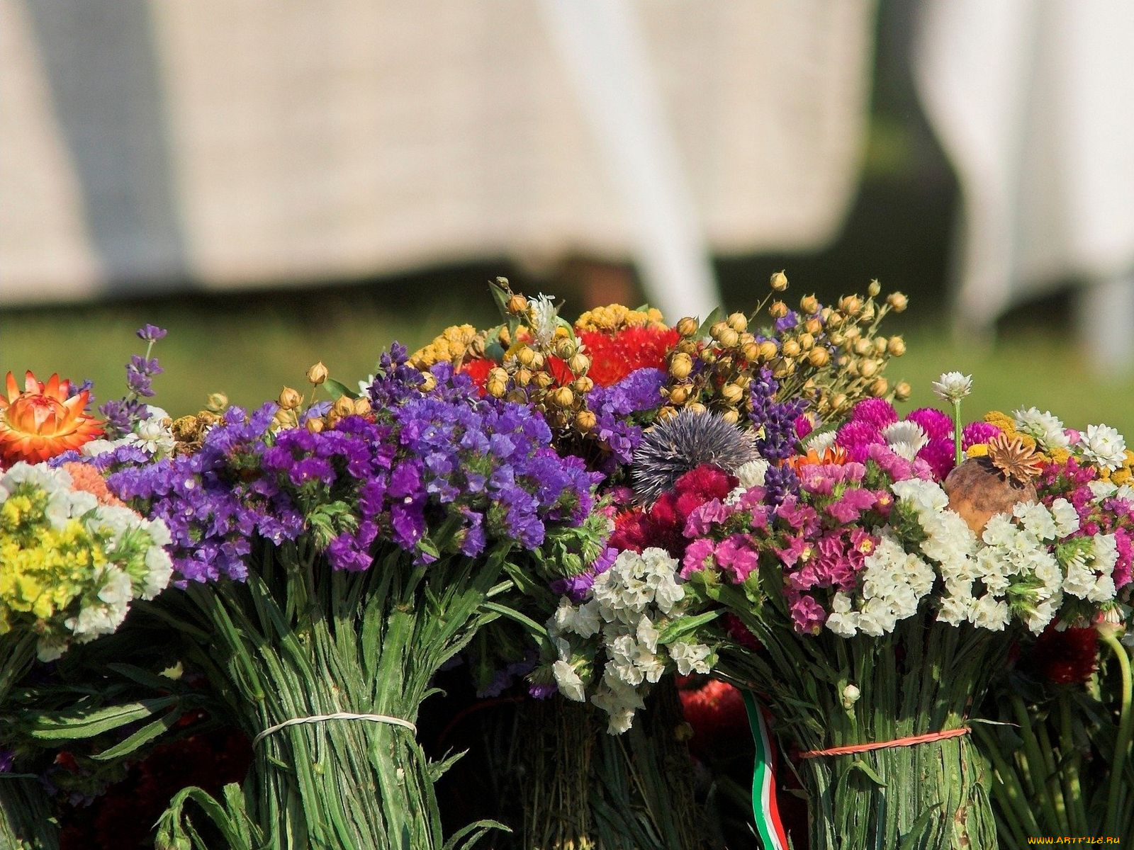 цветы, букеты, композиции