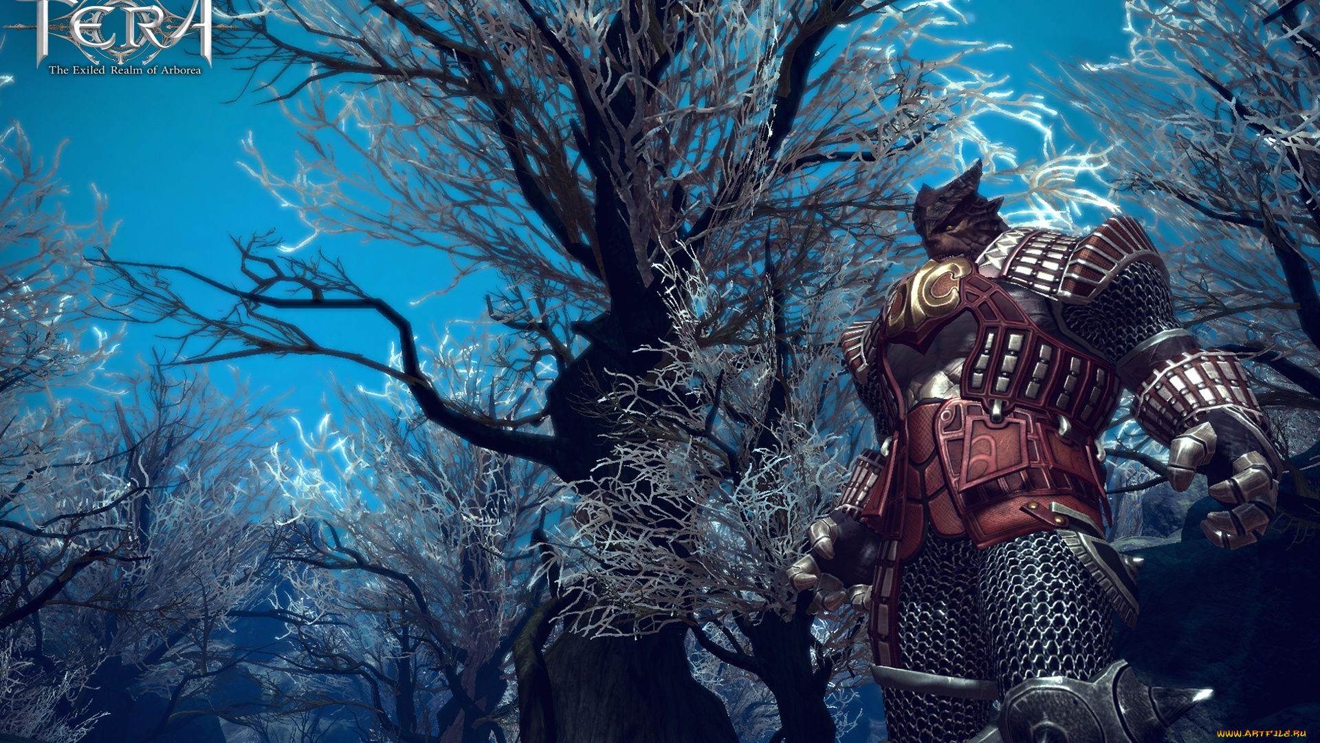 tera, the, exiled, realm, of, arborea, видео, игры