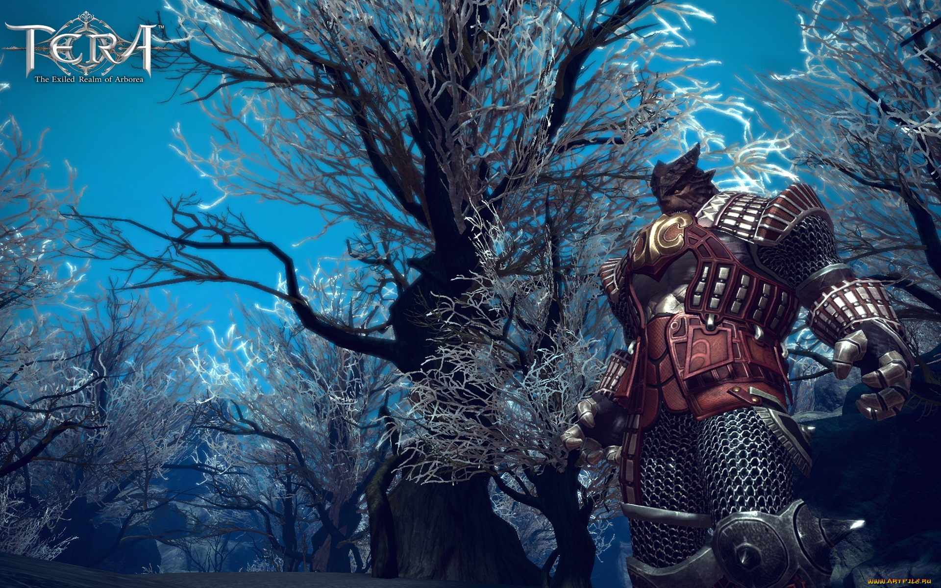 tera, the, exiled, realm, of, arborea, видео, игры