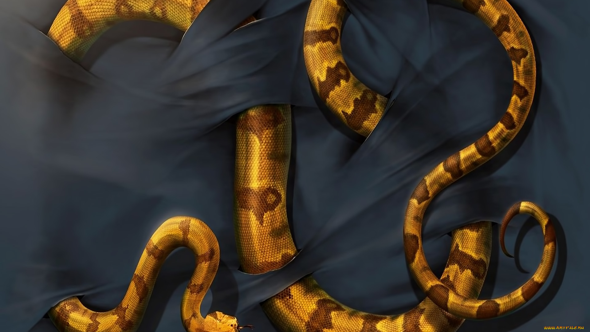 рисованные, животные