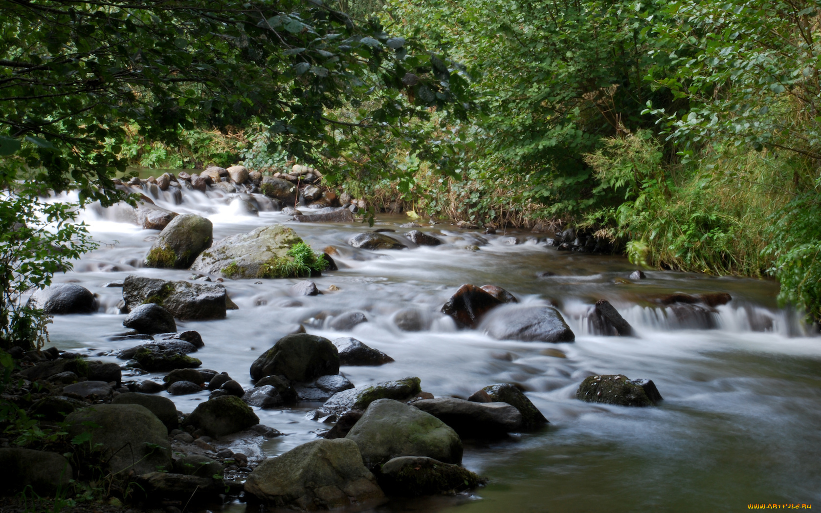 природа, реки, озера, деревья, камни