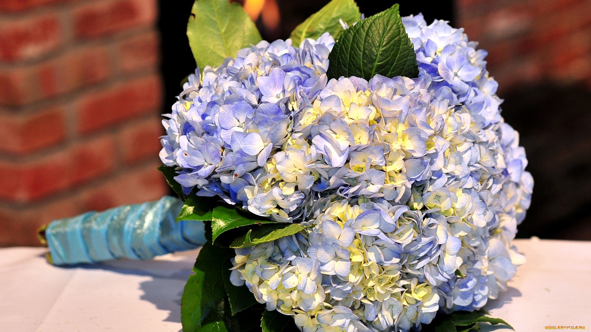 цветы, букеты, композиции, гортензия, голубой