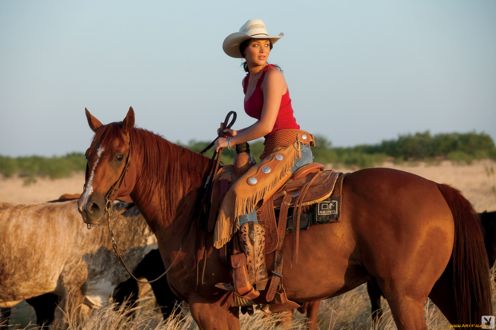 Rainy, Day, Jordan, девушки, лошадь