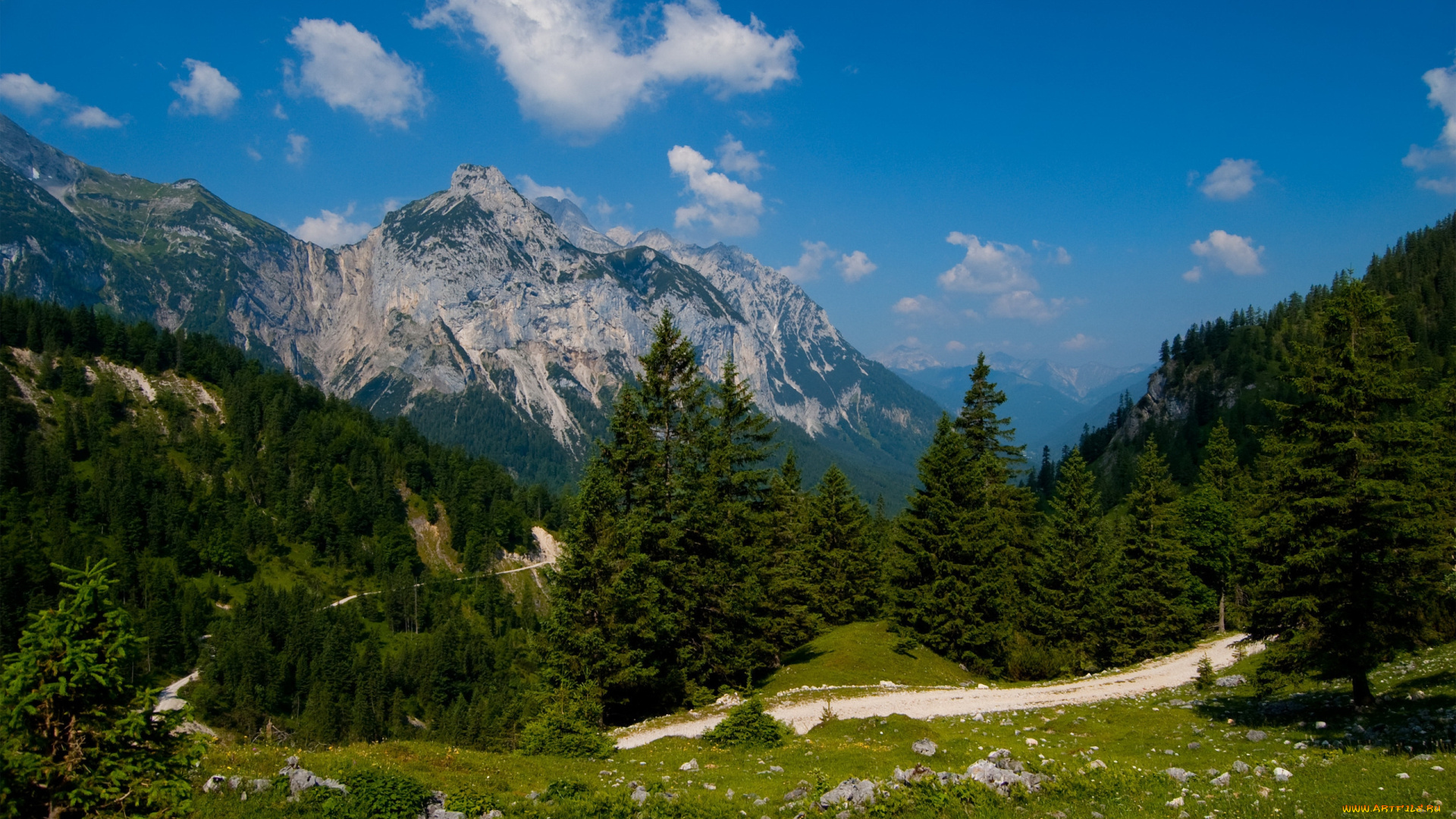 astounding, scenery, природа, горы, леса, дорога