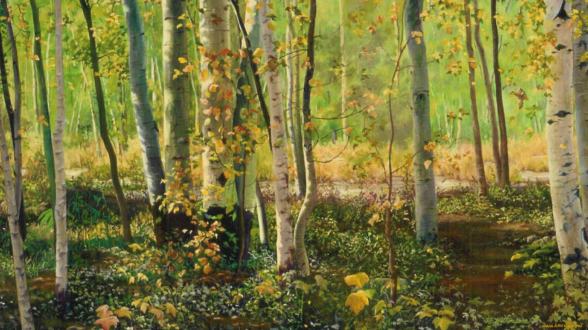 solitary, migration, рисованные, kay, witherspoon, живопись, природа