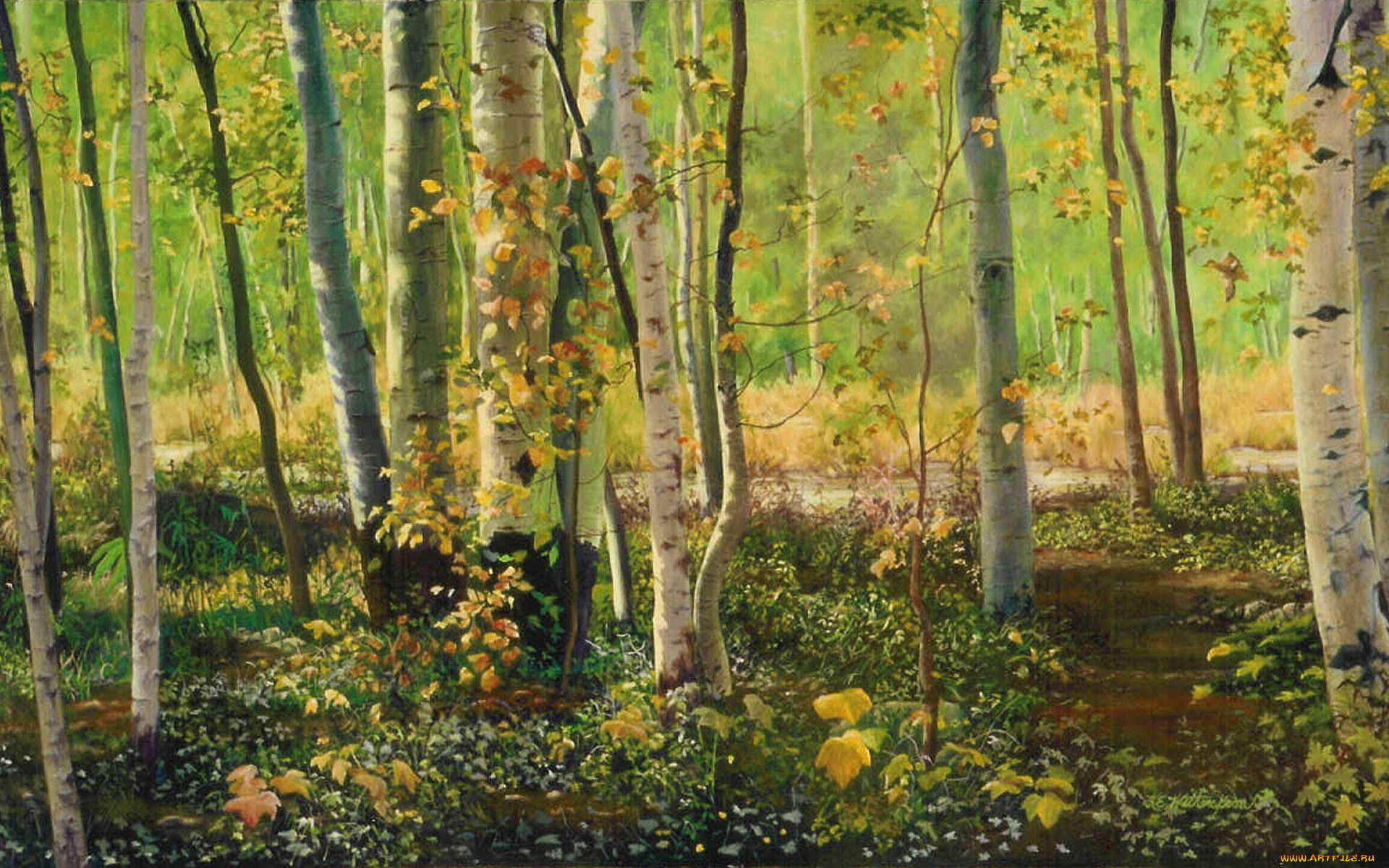 solitary, migration, рисованные, kay, witherspoon, живопись, природа