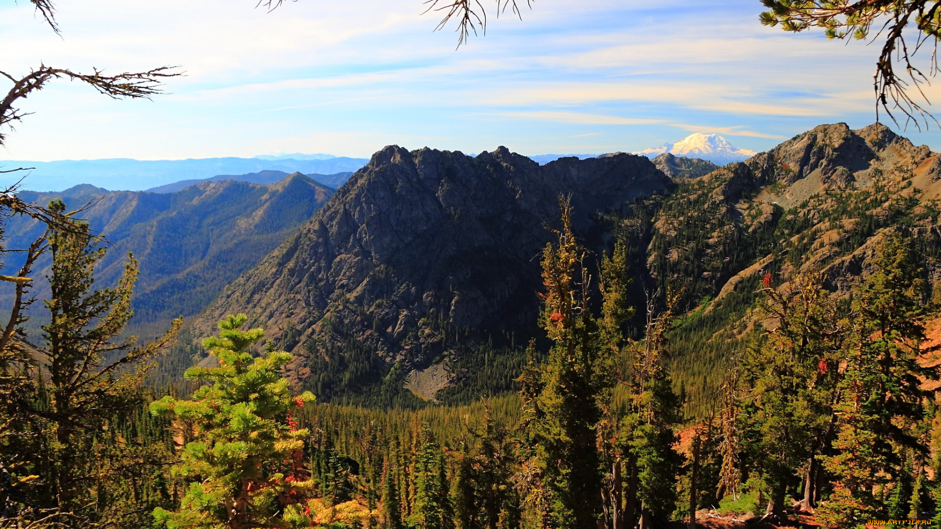 ливенворт, сша, природа, горы, лес