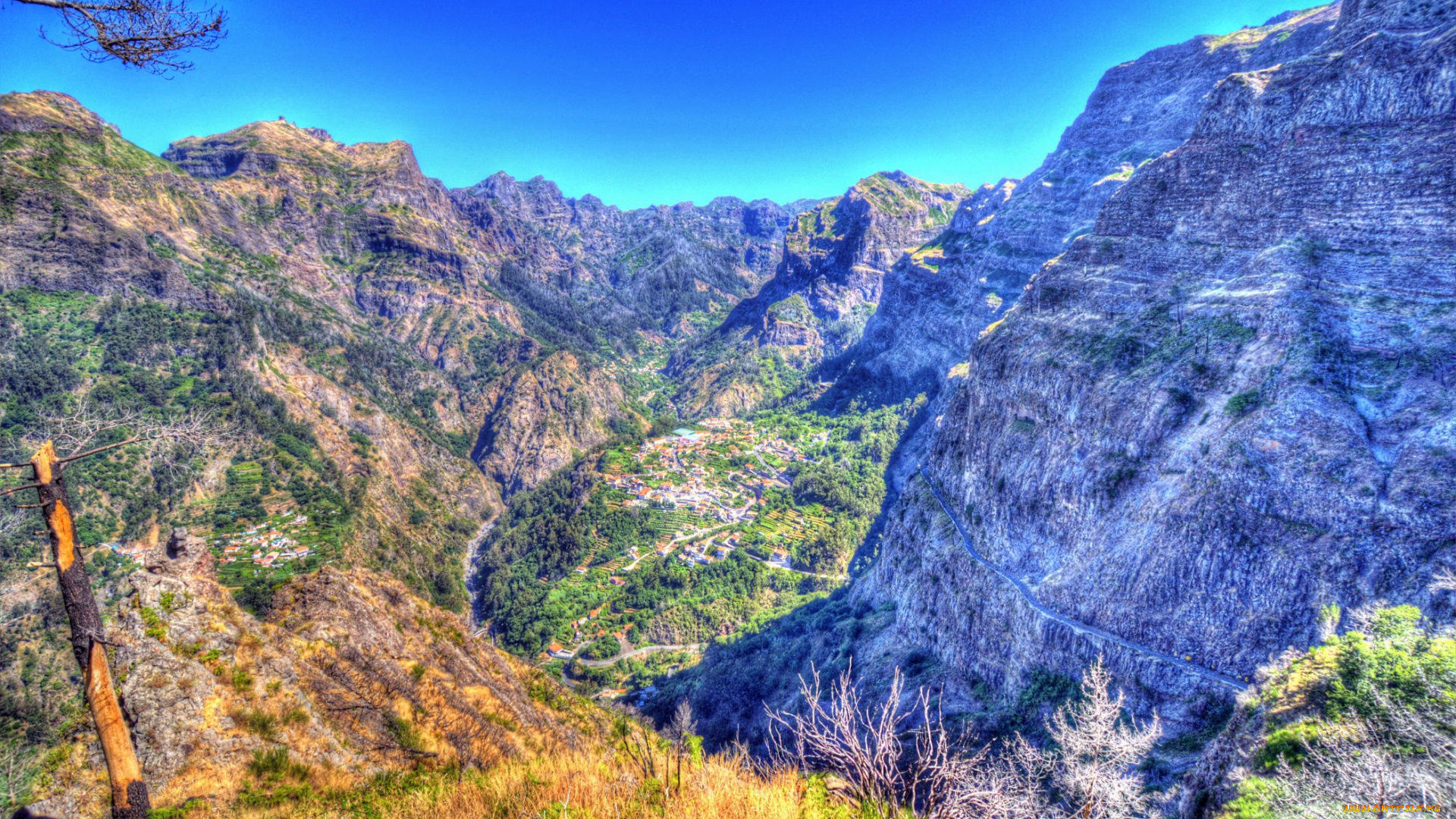 португалия, madeira, природа, горы, скалы, ущелье, растительность