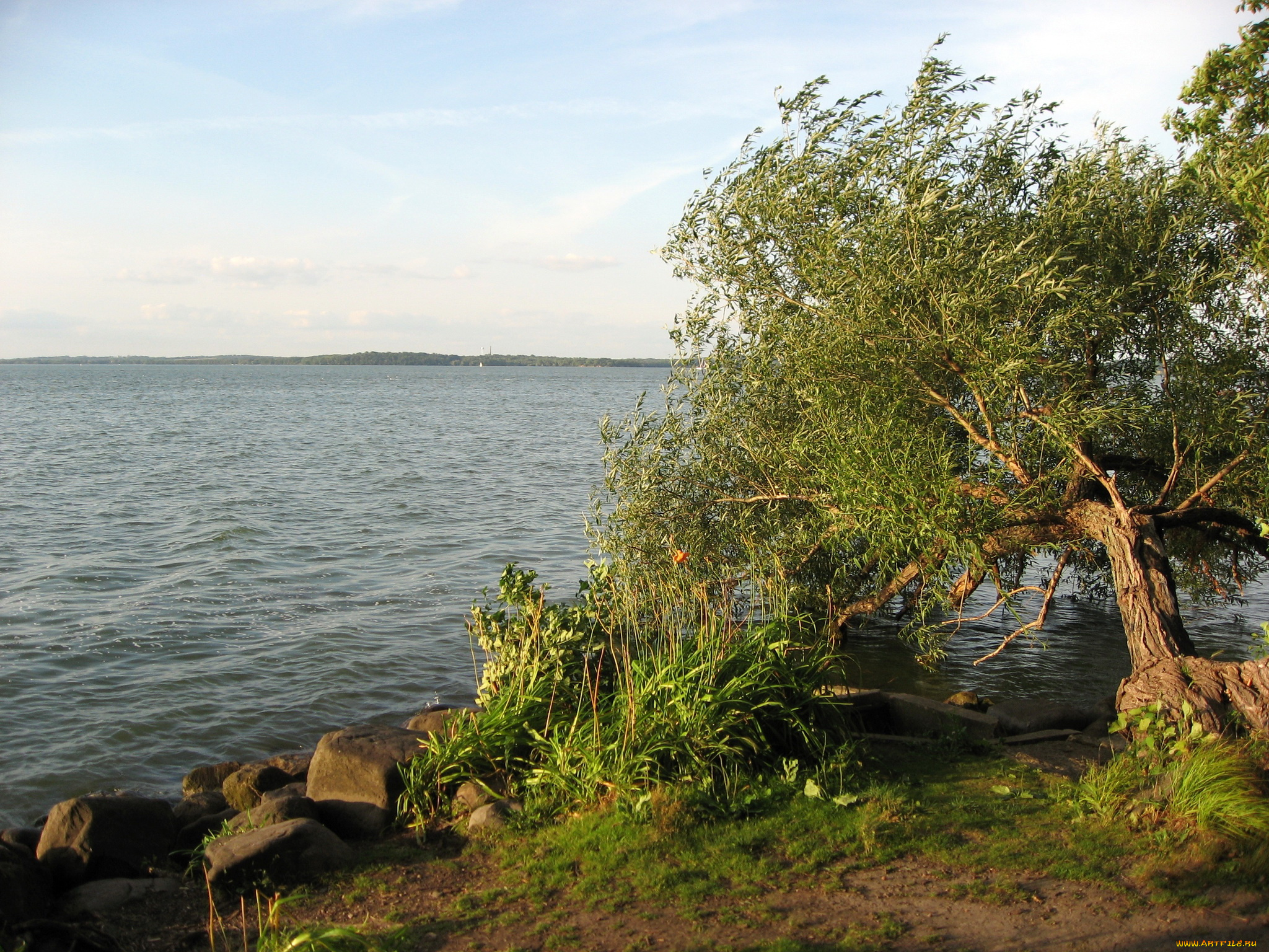 южный, уэльс, природа, реки, озера, трава, деревья, река