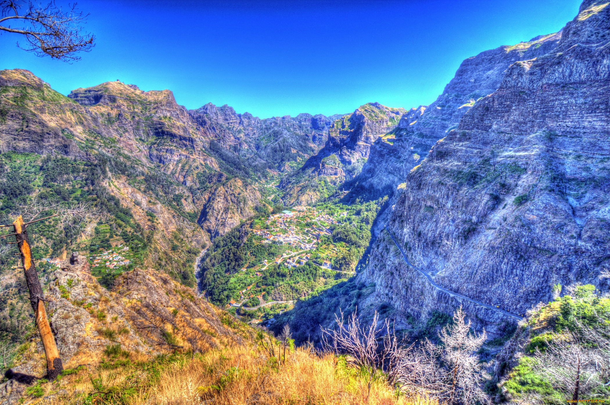 португалия, madeira, природа, горы, скалы, ущелье, растительность