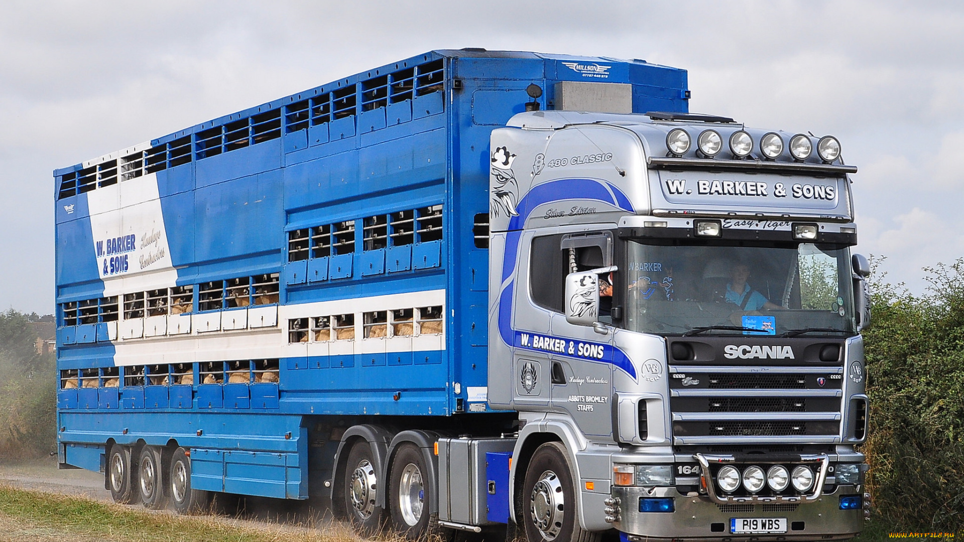 автомобили, scania, , выставка, улица, тягач, седельный, грузовик, тяжелый