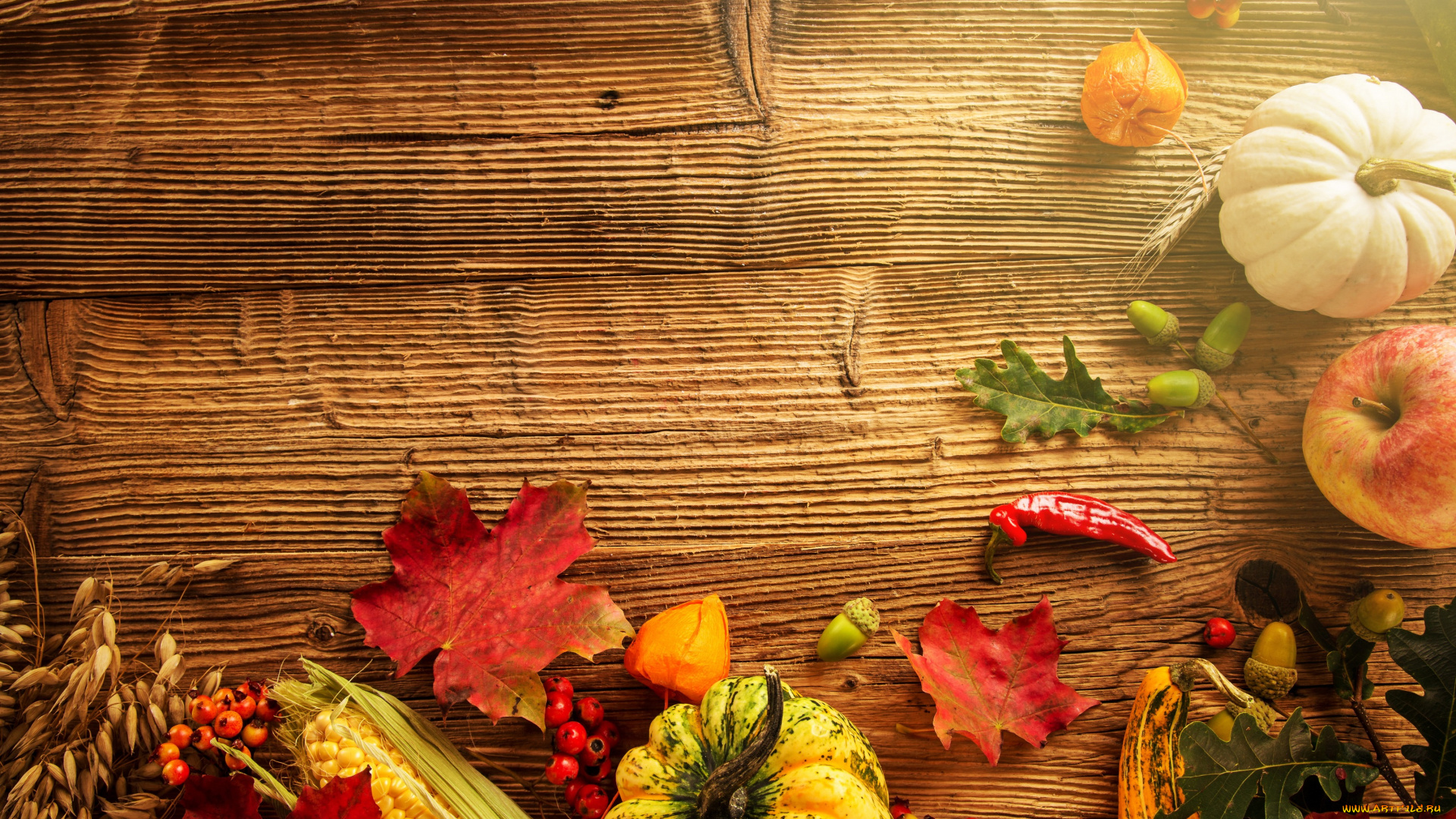 еда, фрукты, и, овощи, вместе, урожай, тыква, желуди, кукуруза, листья, осень