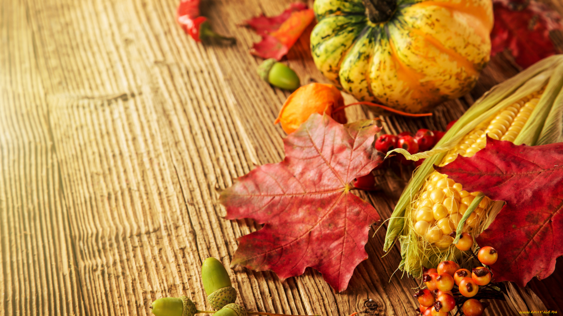 еда, овощи, осень, кукуруза, тыква, урожай, листья, желуди