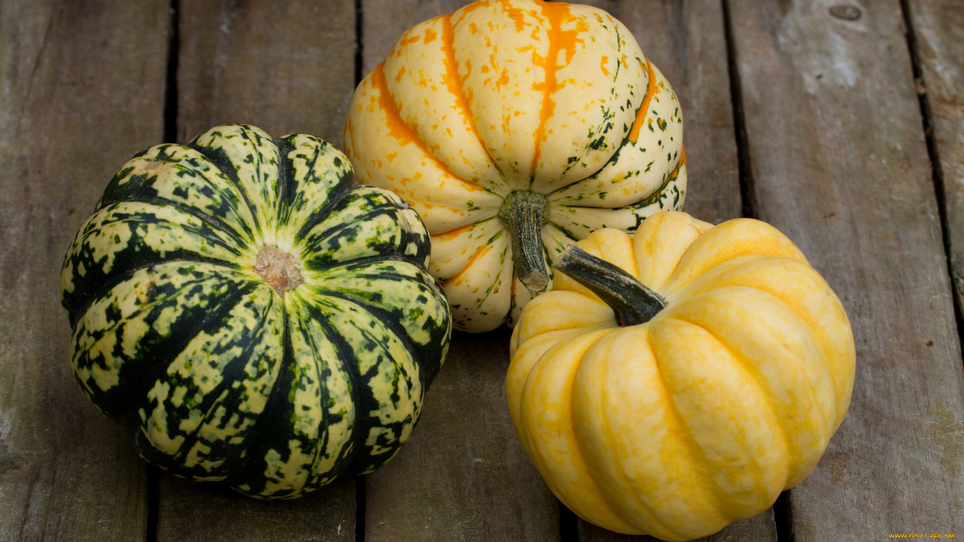 еда, тыква, тыквы