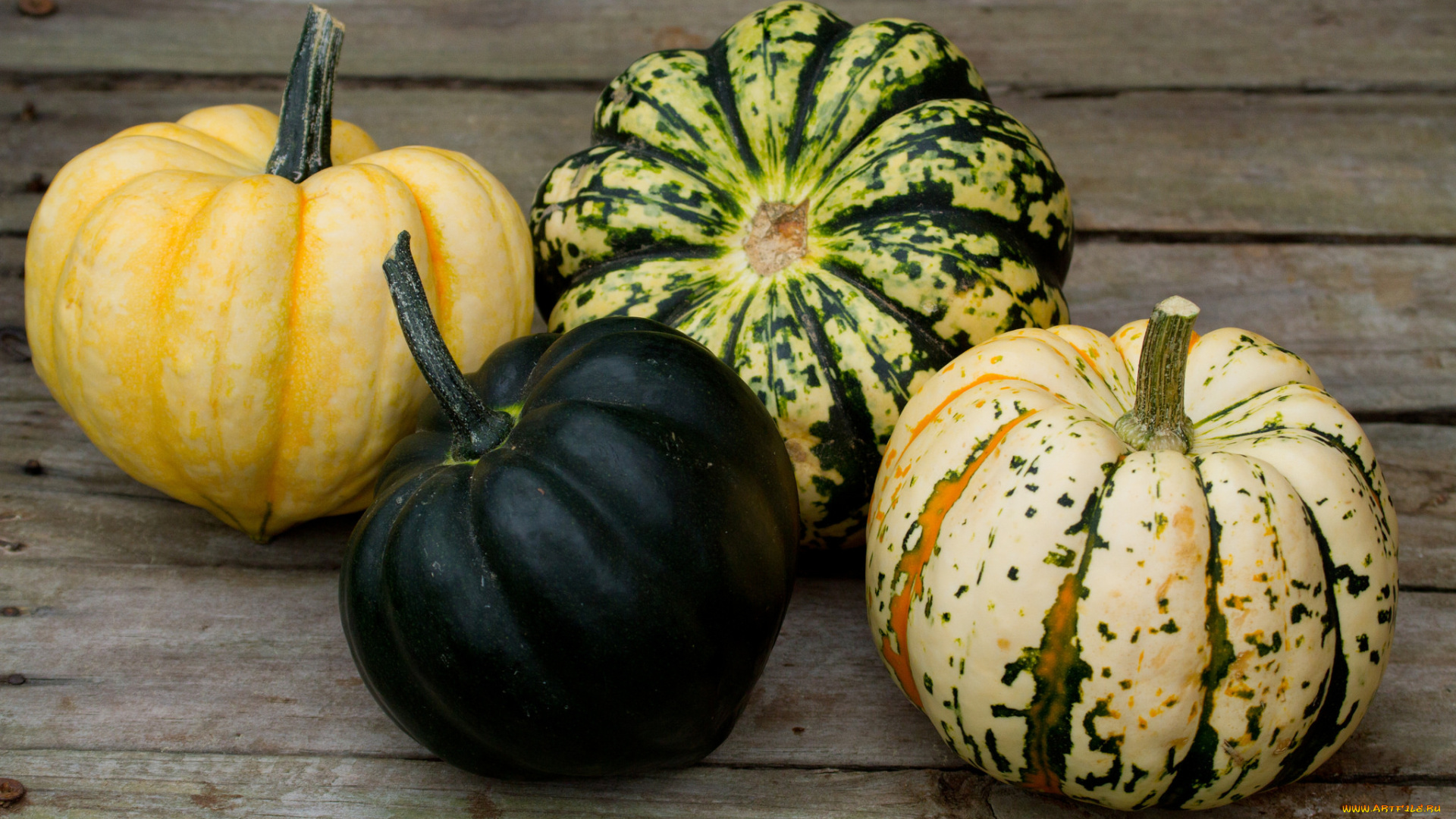 еда, тыква, тыквы