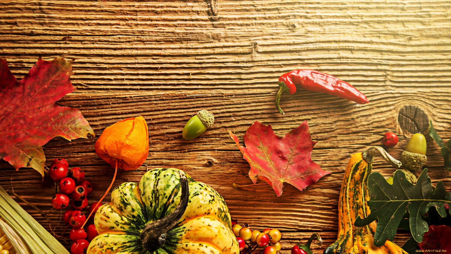 еда, тыква, урожай, осень, кукуруза, листья, желуди