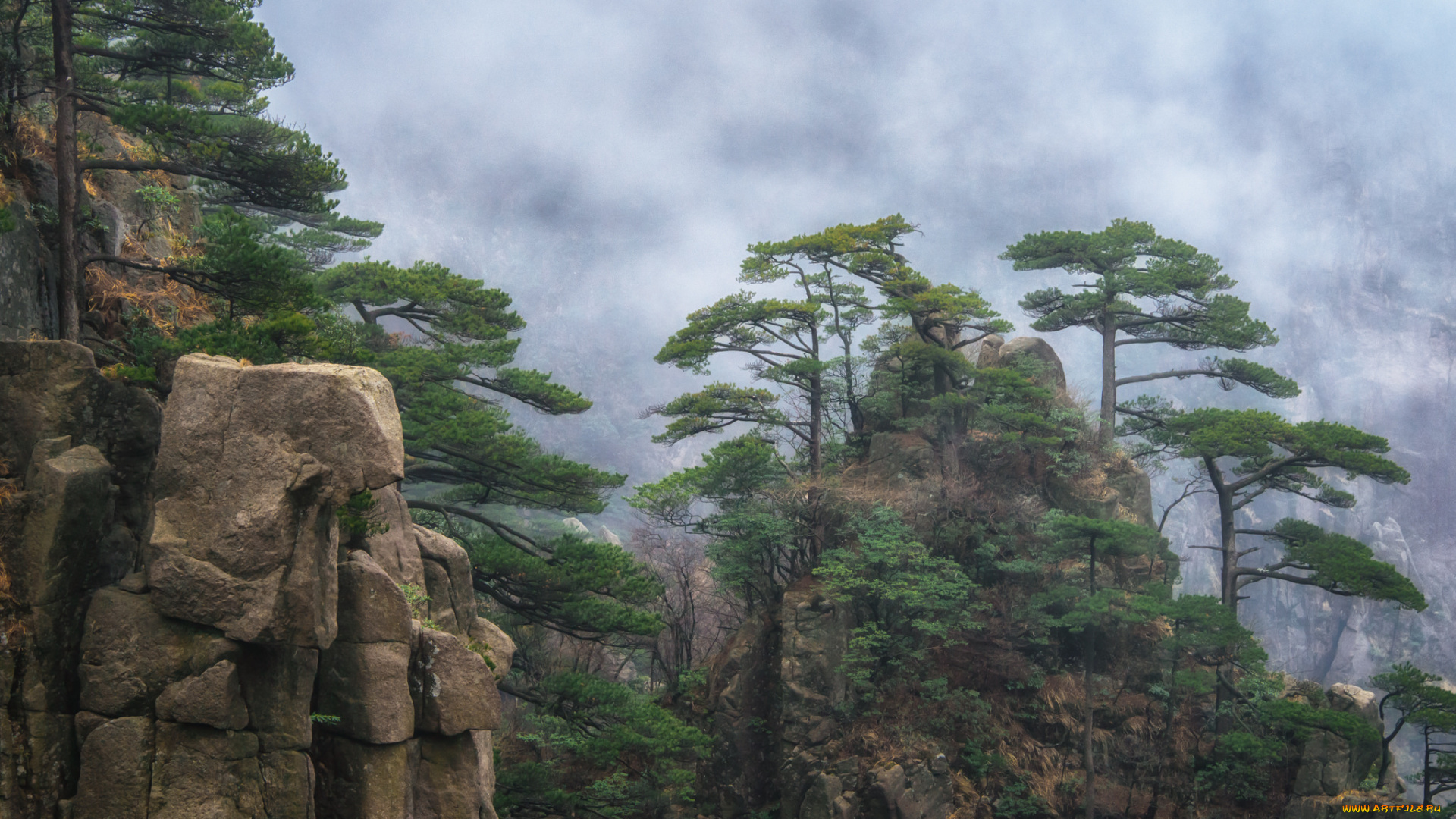 природа, горы, скалы, лес, туман