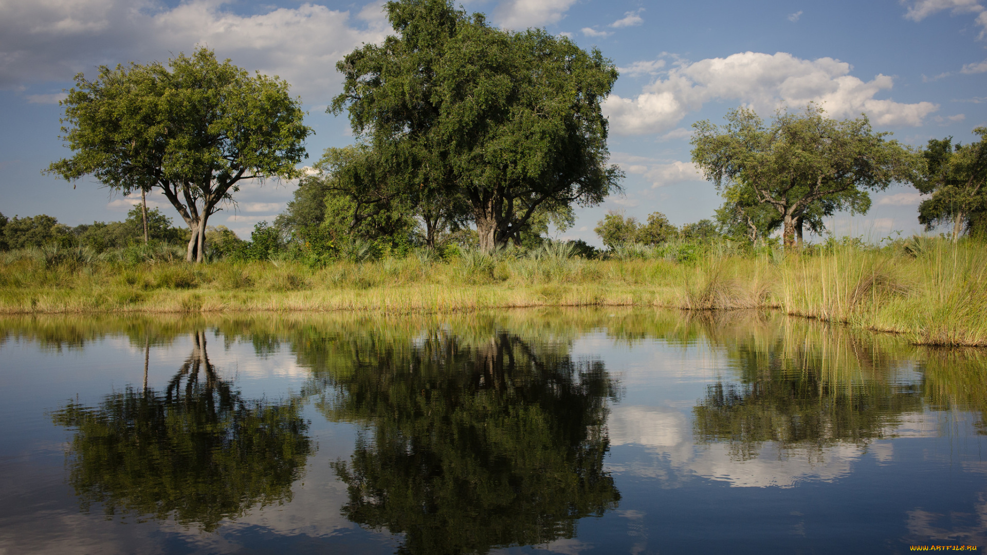 природа, реки, озера, озеро, трава, вода, небо, облака, отражение, деревья
