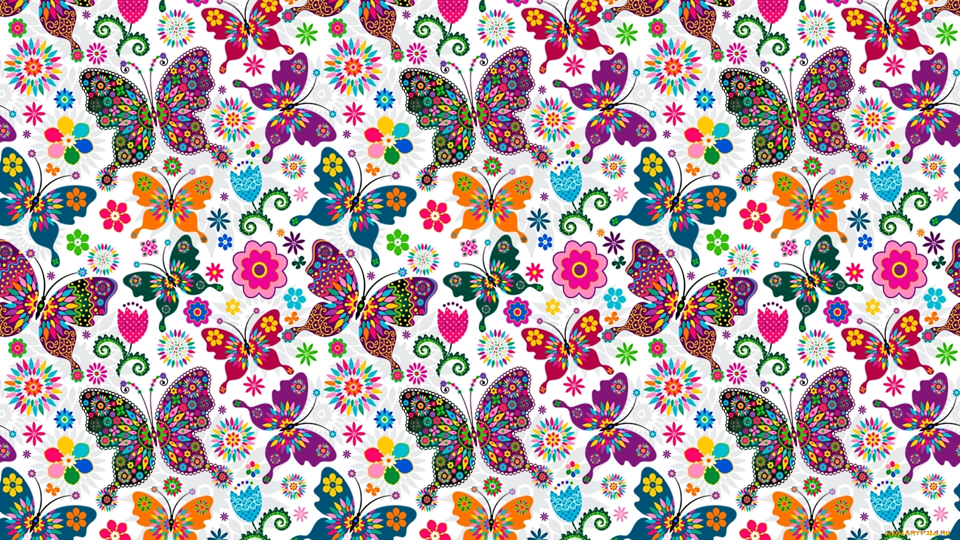 векторная, графика, животные, бабочки, крылья, узор