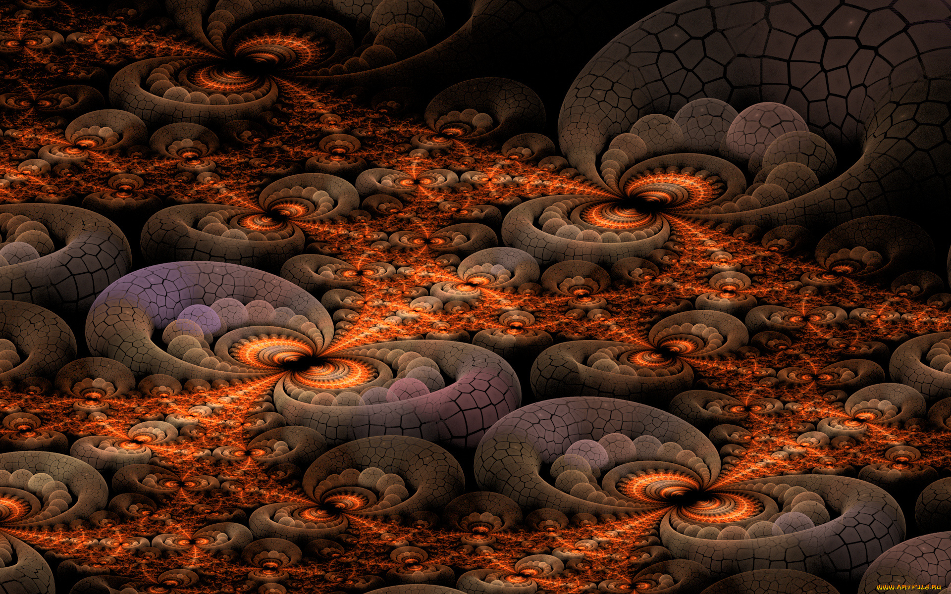 3д, графика, фракталы, , fractal, фон, цвета, узор