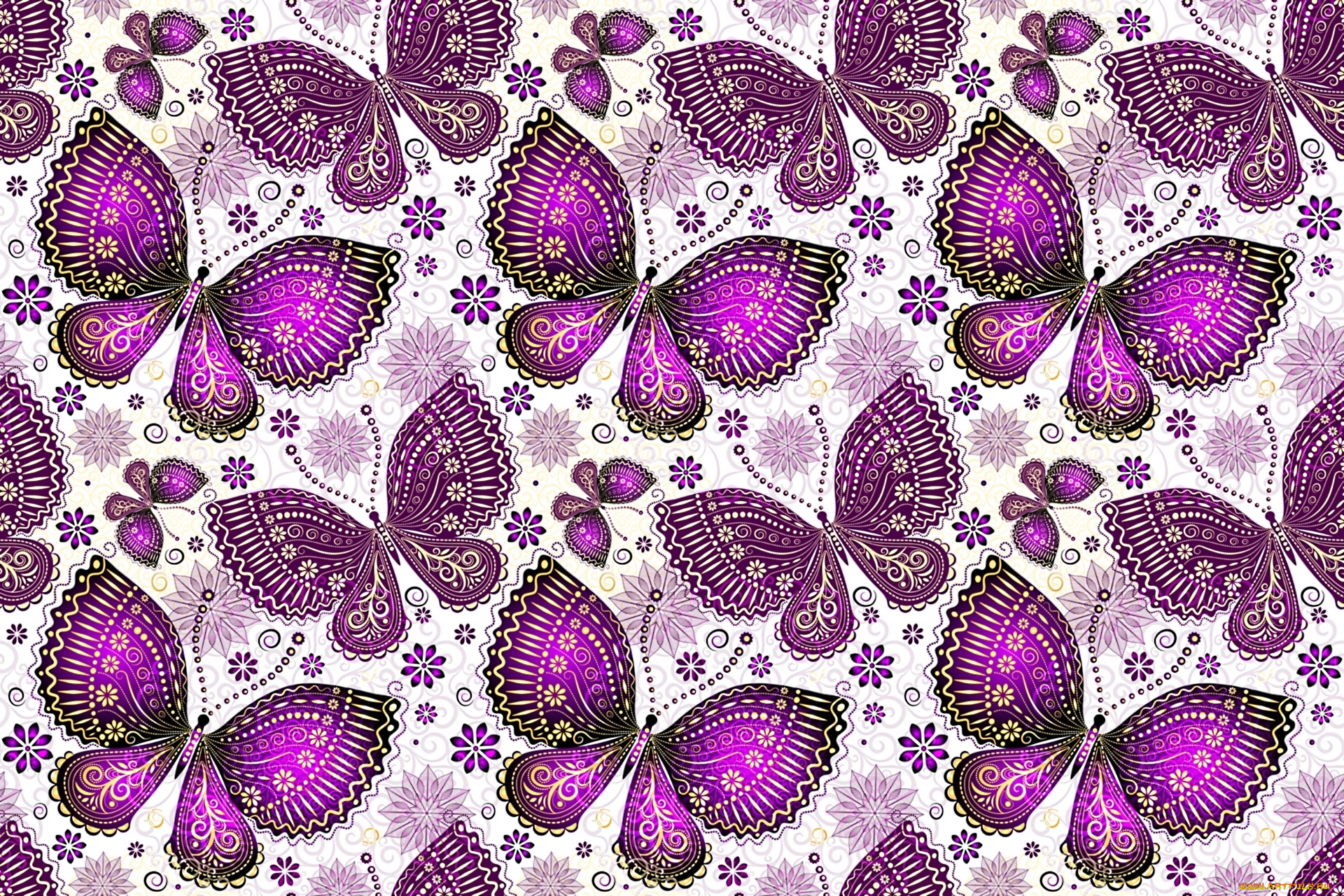 векторная, графика, животные, крылья, узор, бабочки