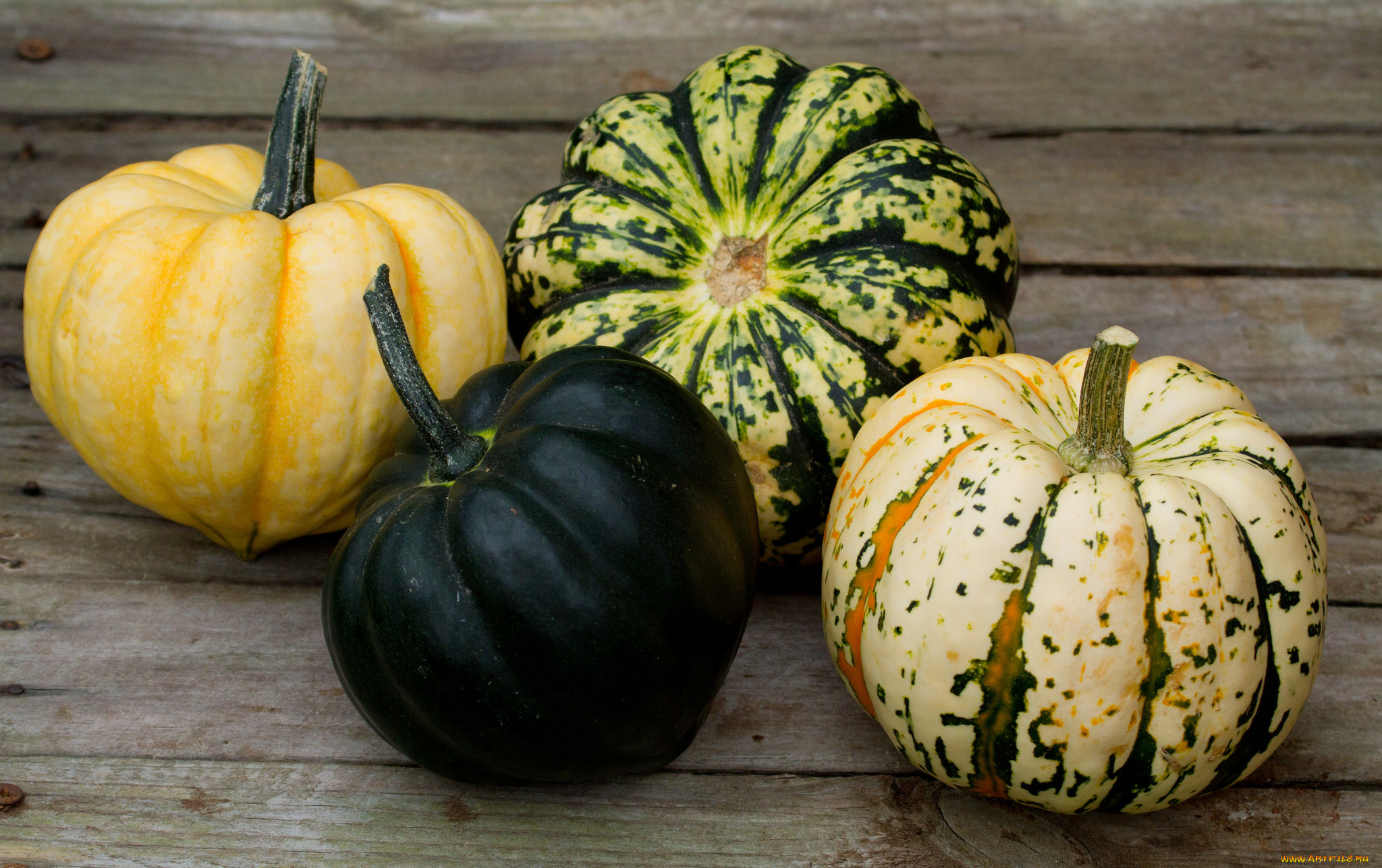 еда, тыква, тыквы