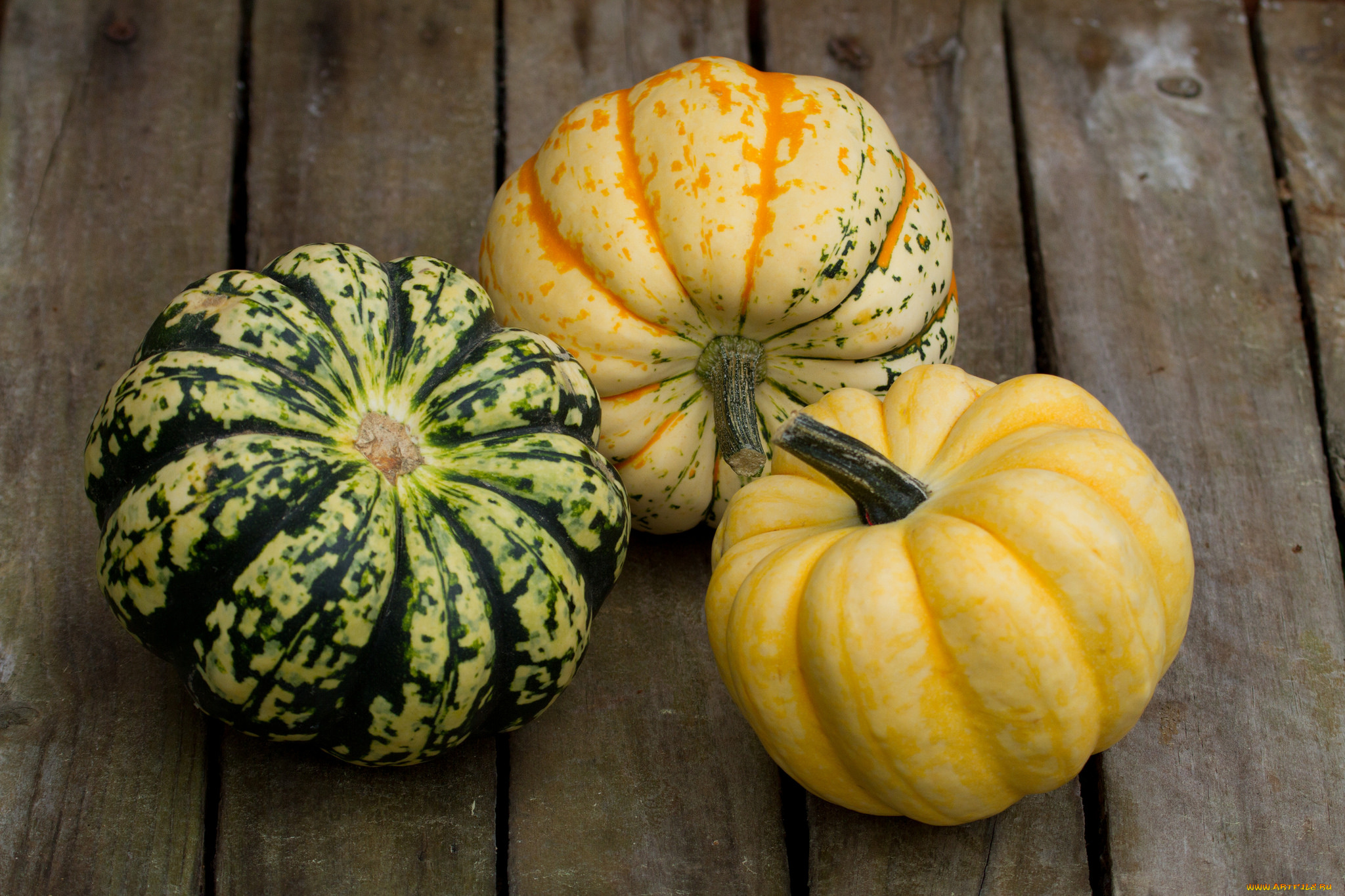 еда, тыква, тыквы