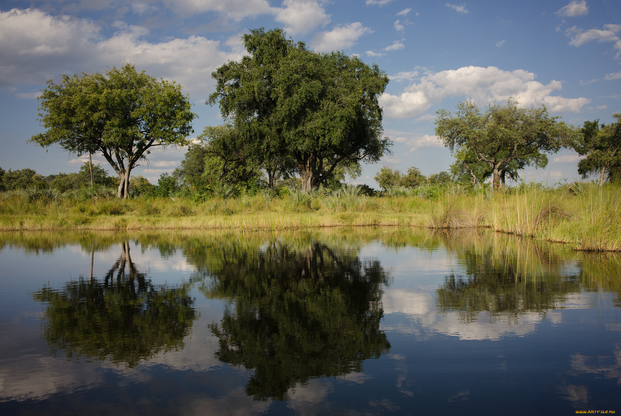 природа, реки, озера, озеро, трава, вода, небо, облака, отражение, деревья