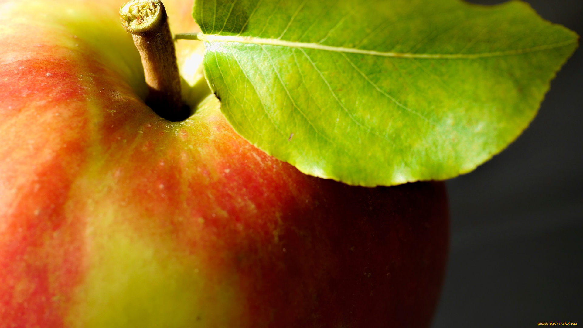 еда, Яблоки, лист, яблоко