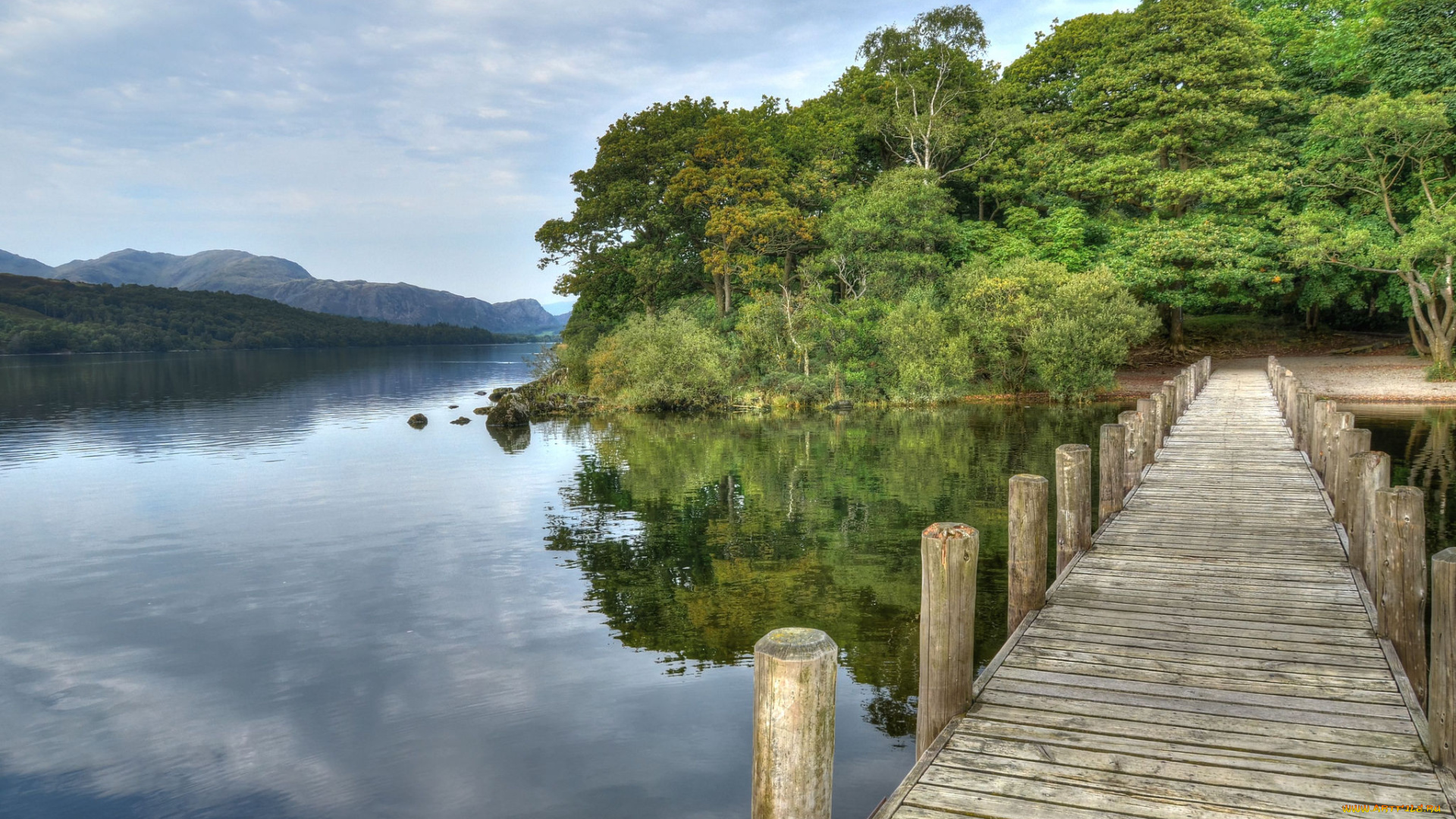 природа, реки, озера, лес, река