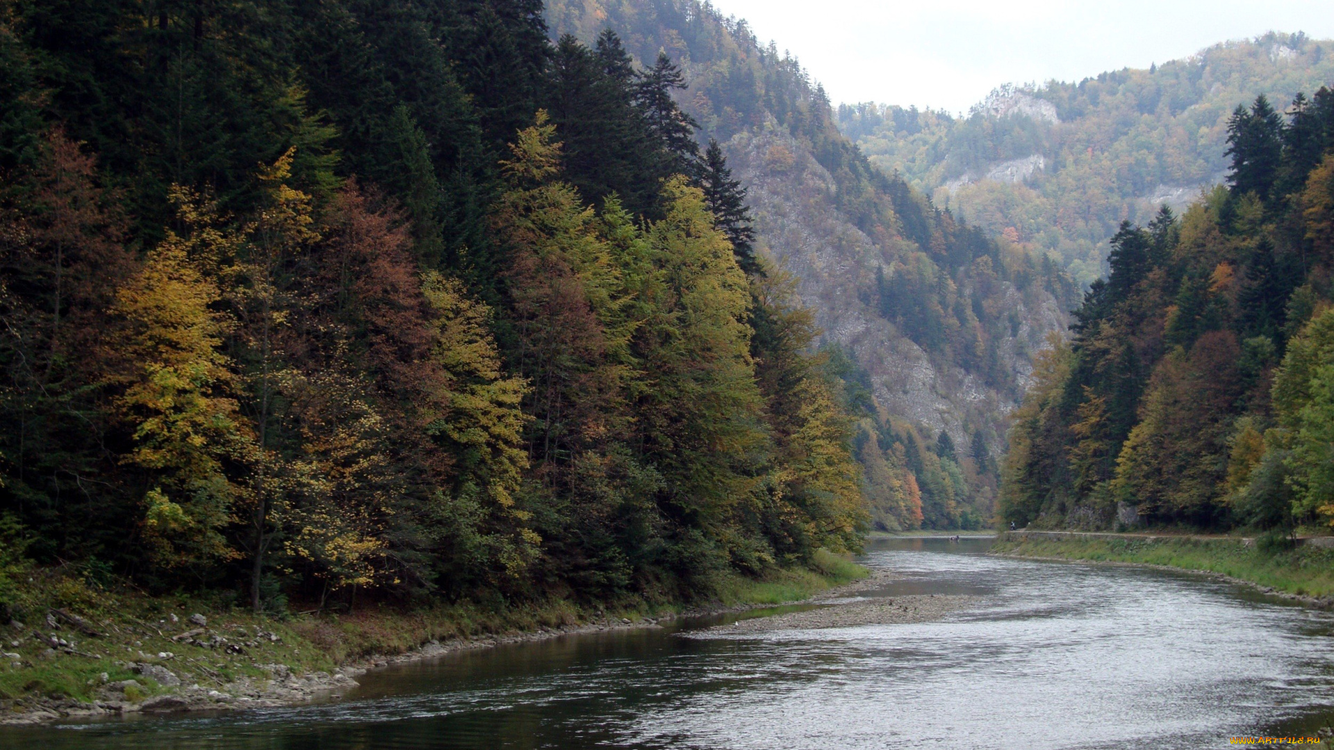 природа, реки, озера, лес, река, деревья