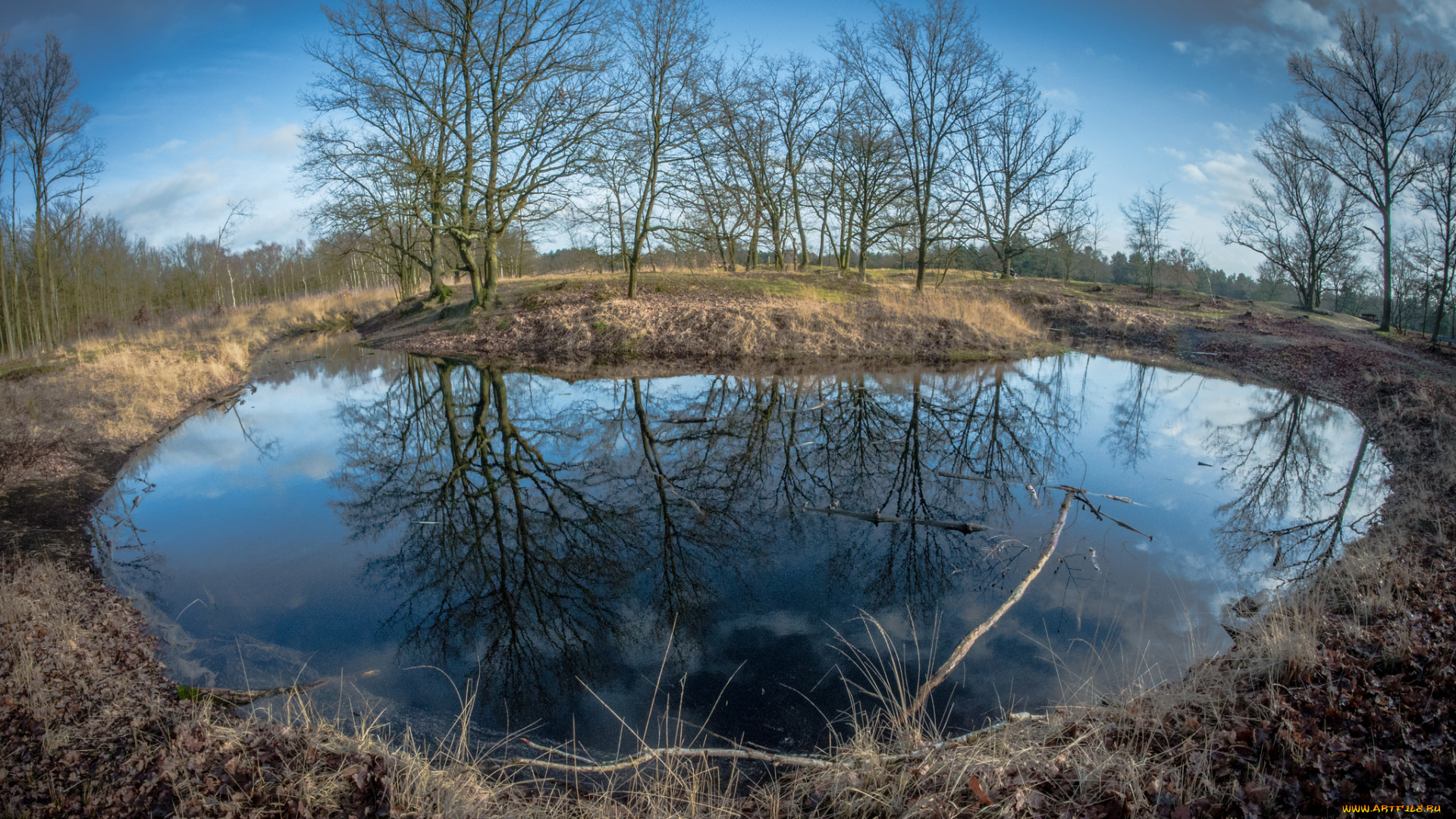 природа, реки, озера, река, лес