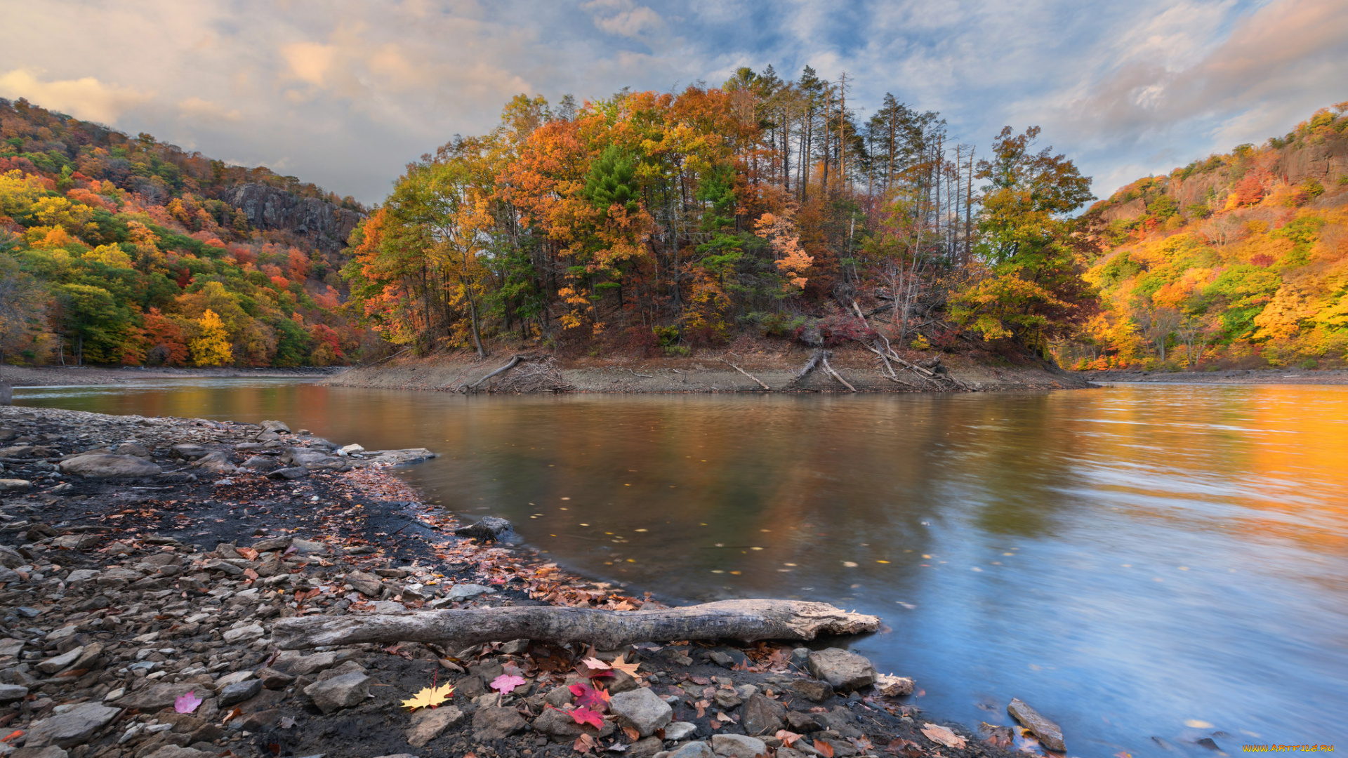 природа, реки, озера, река, лес