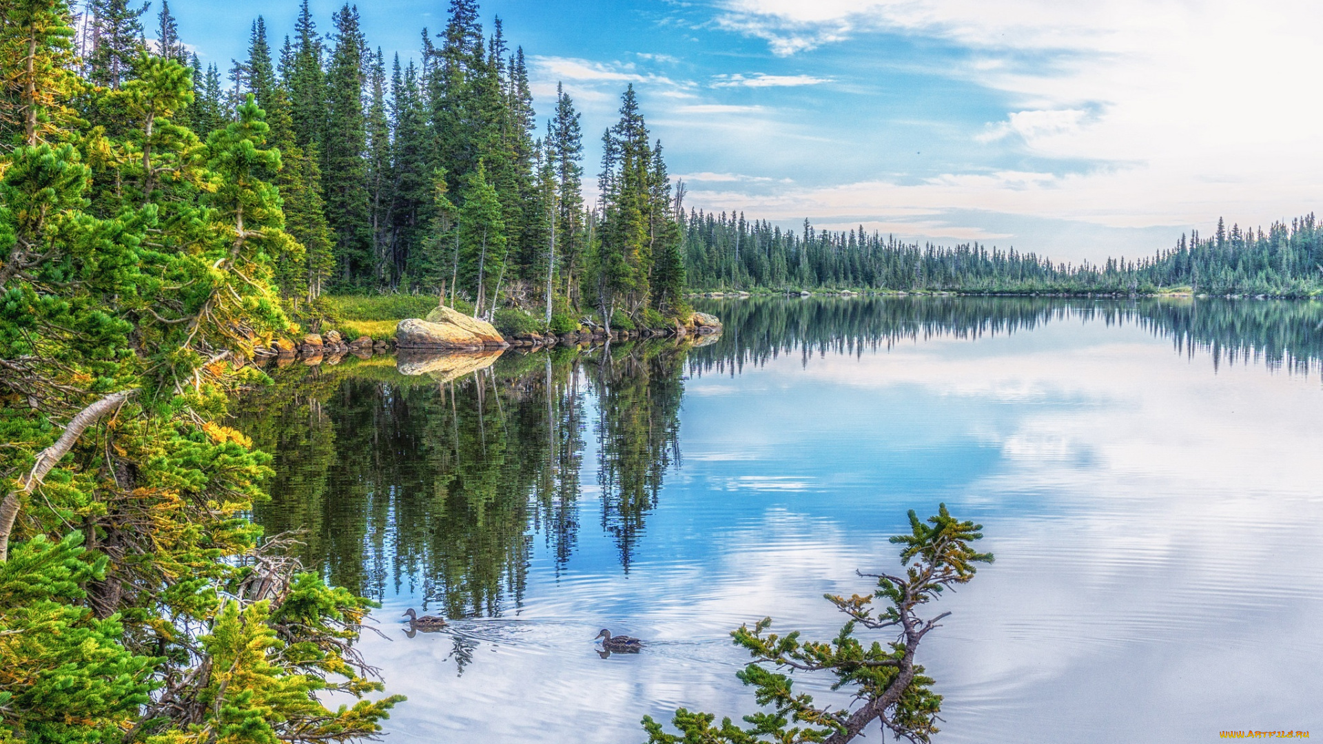 природа, реки, озера, река, лес