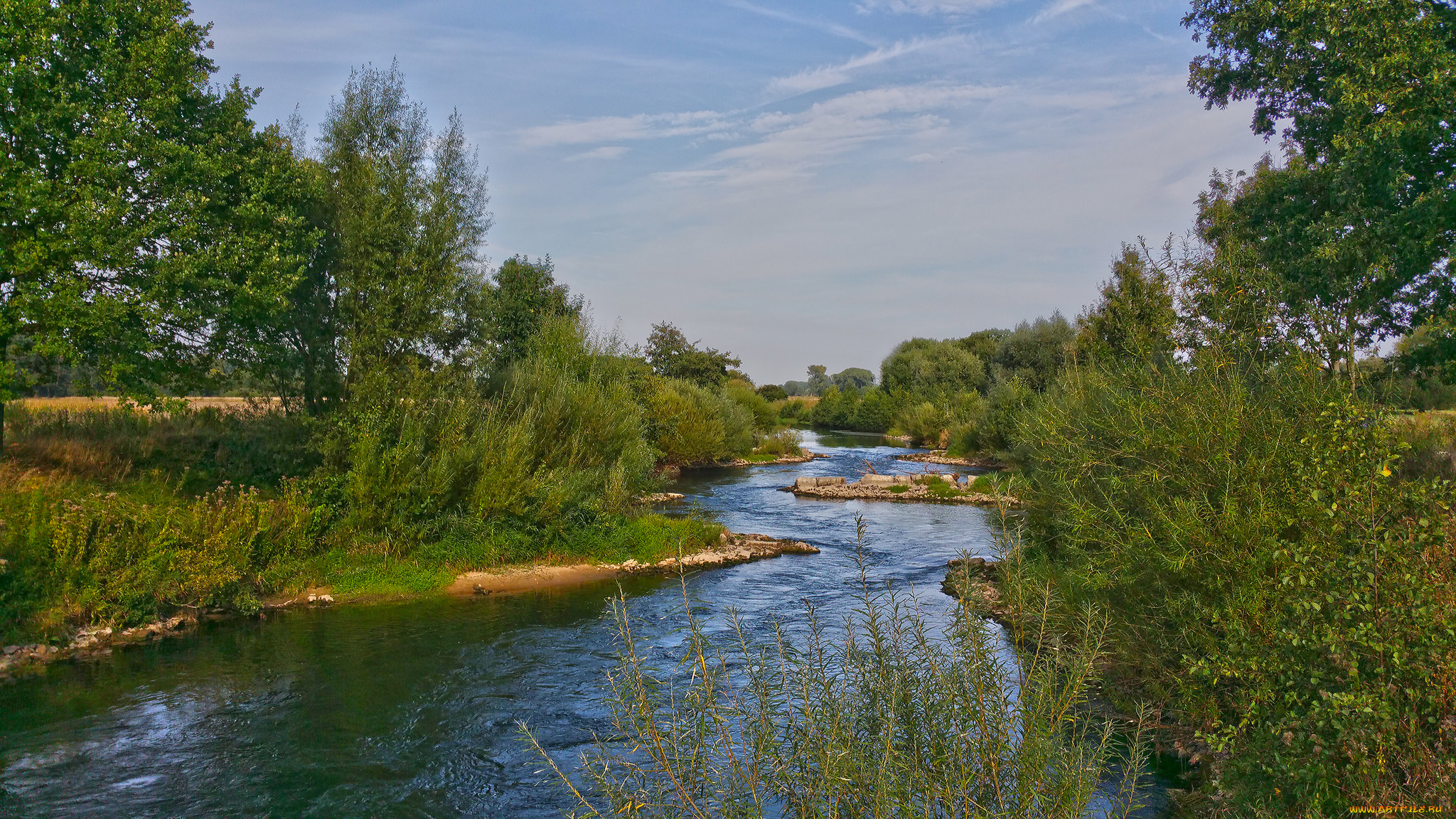 природа, реки, озера, лес, река