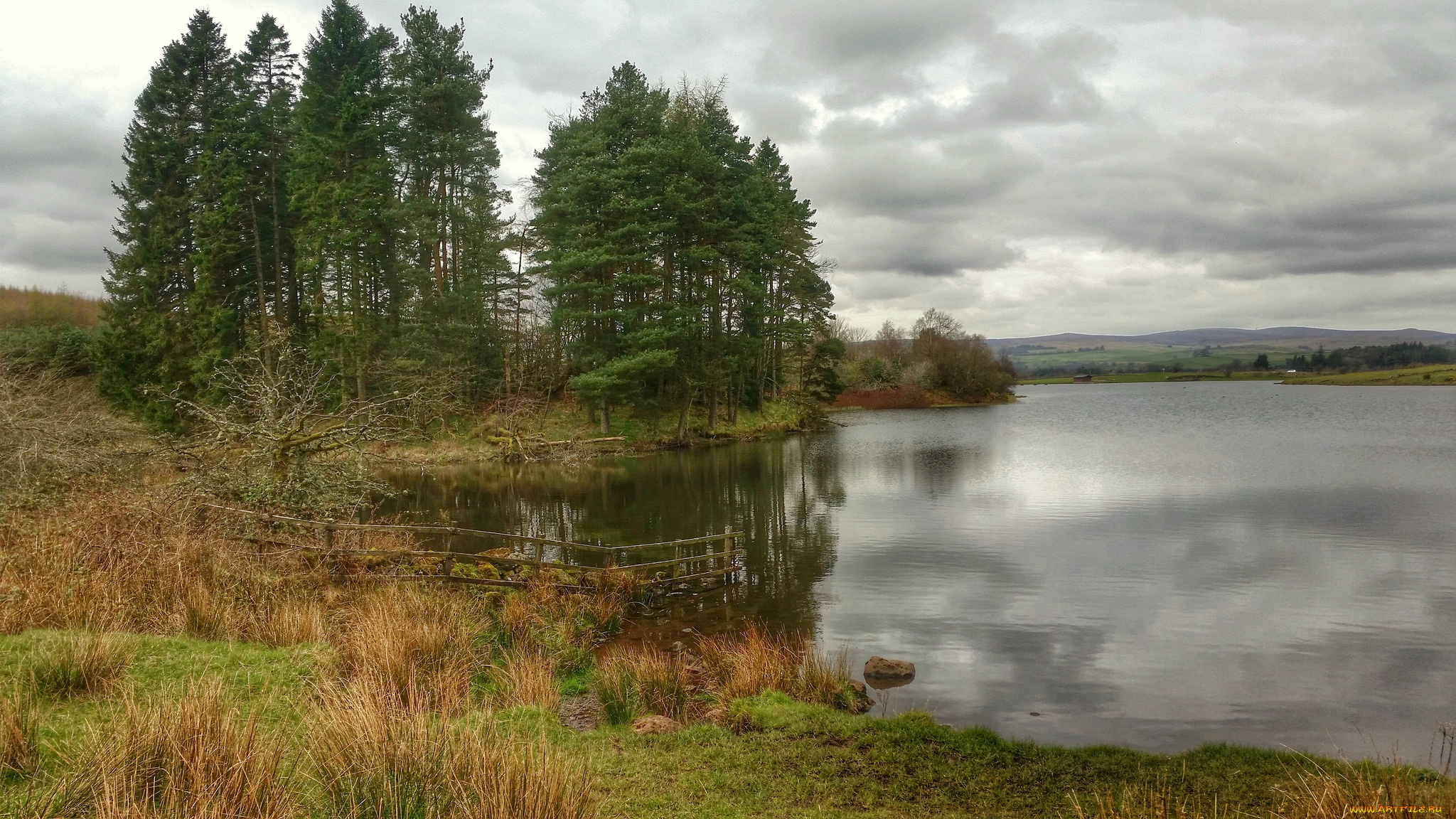 природа, реки, озера, река, лес