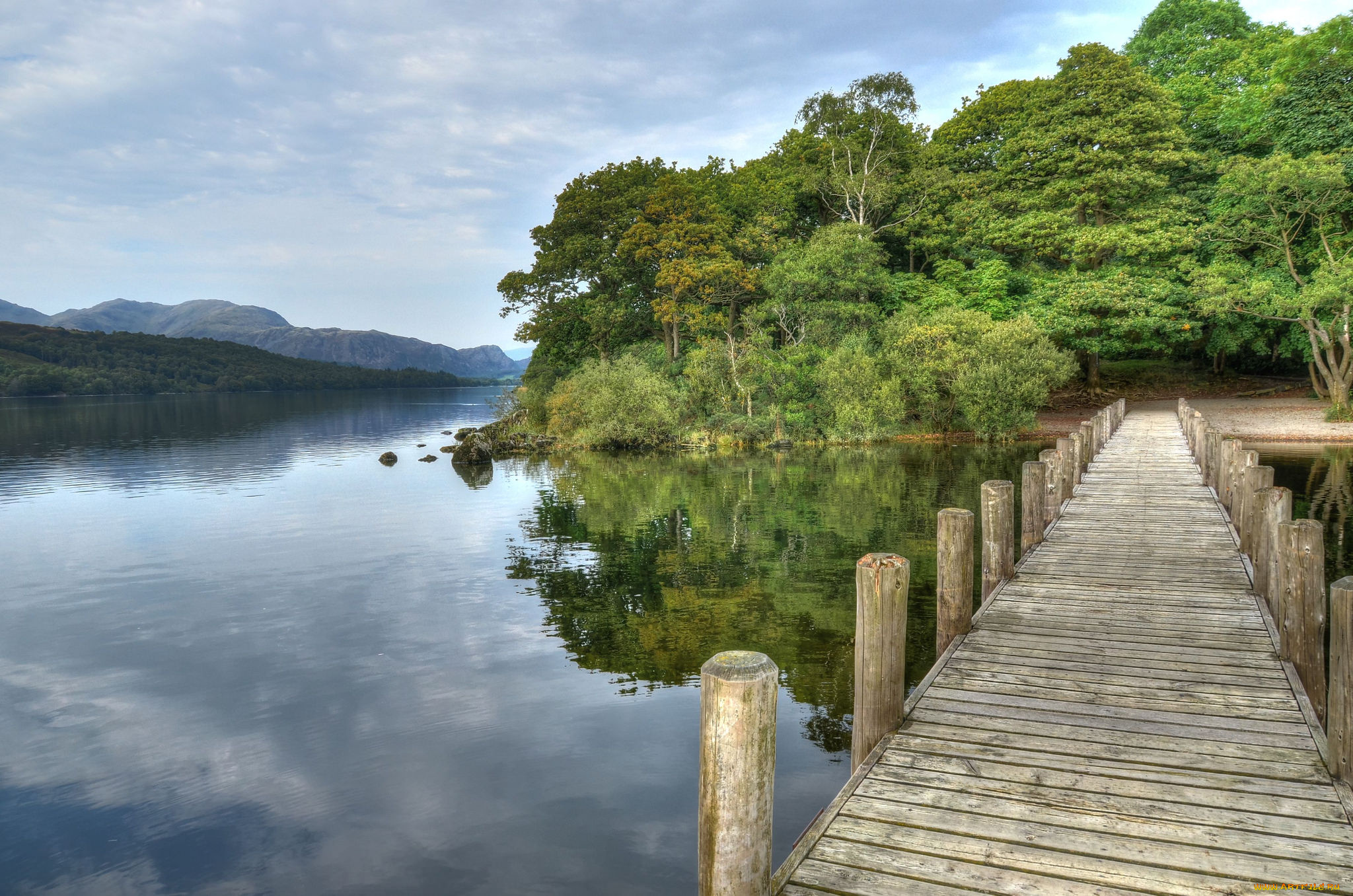 природа, реки, озера, лес, река