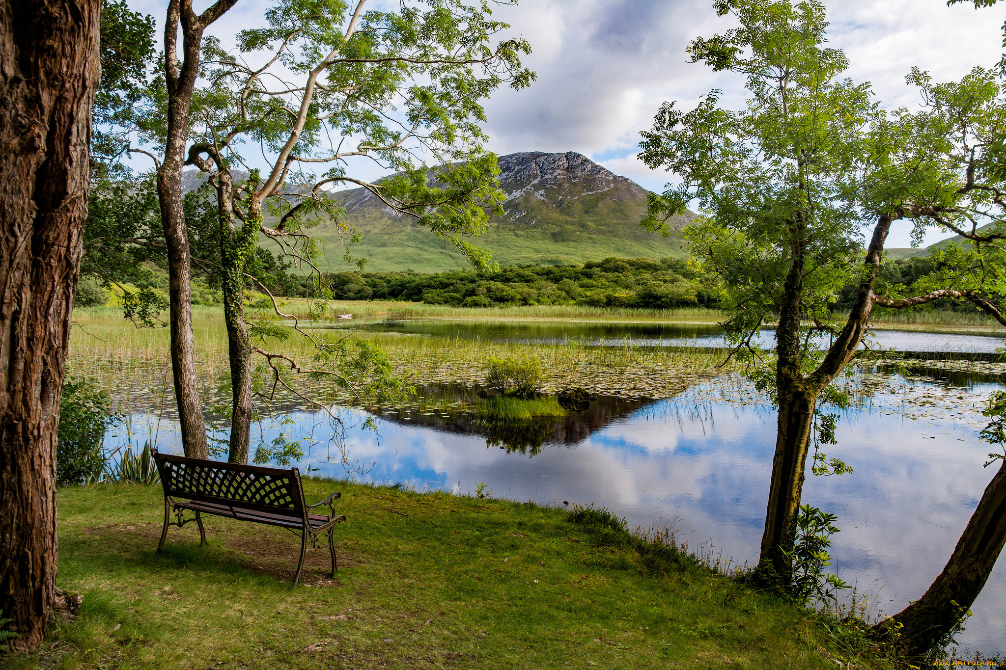 природа, реки, озера, лес, река