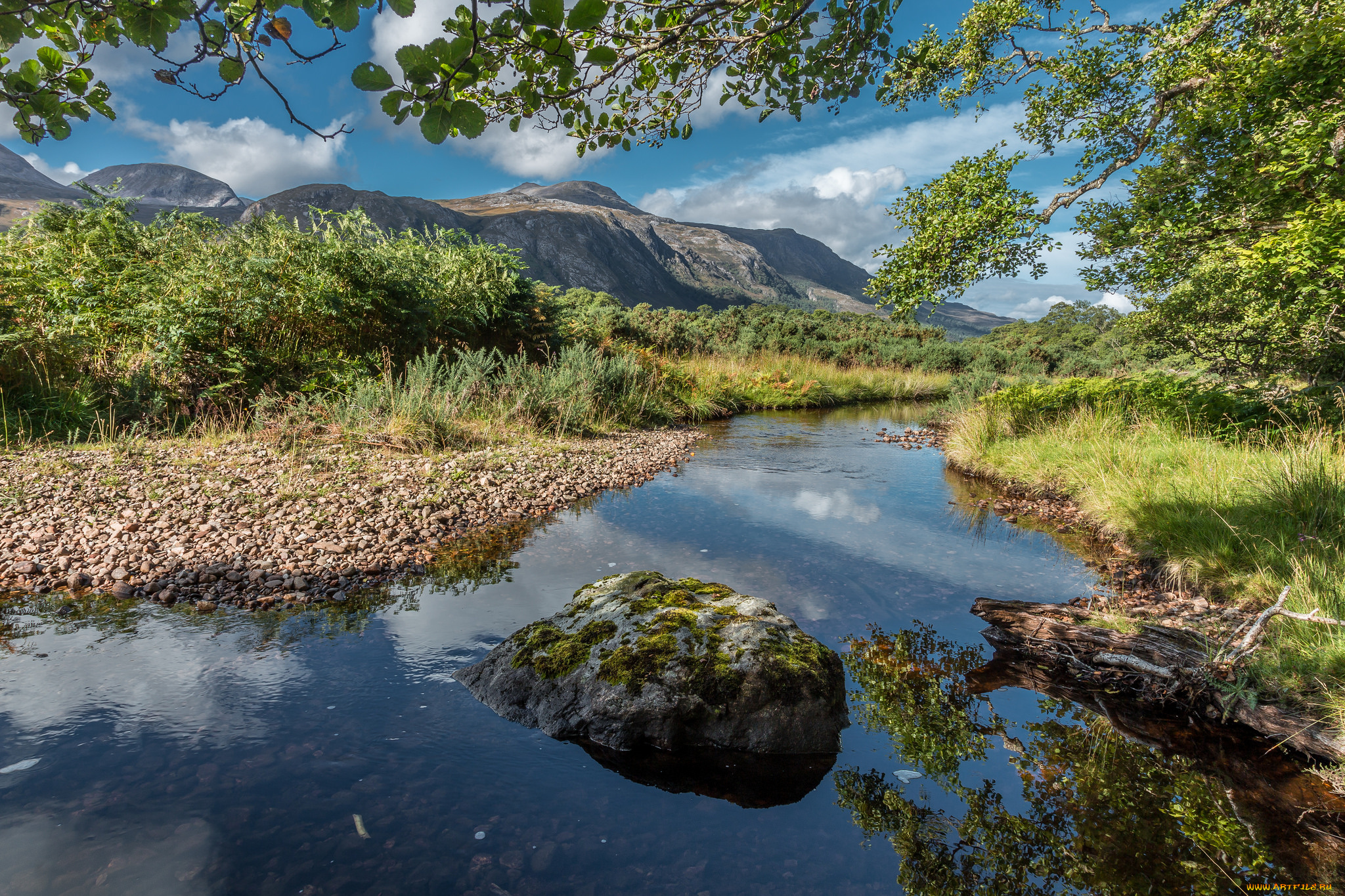 природа, реки, озера, река, лес