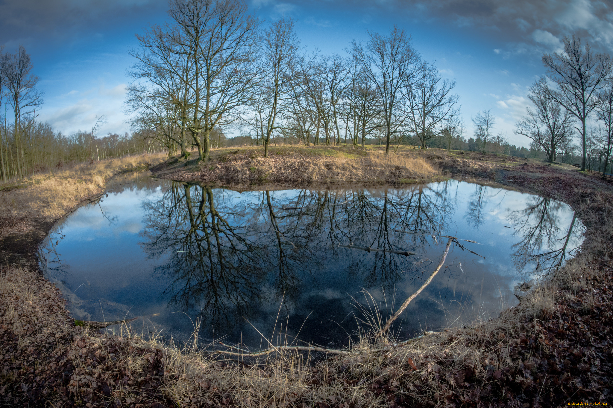 природа, реки, озера, река, лес