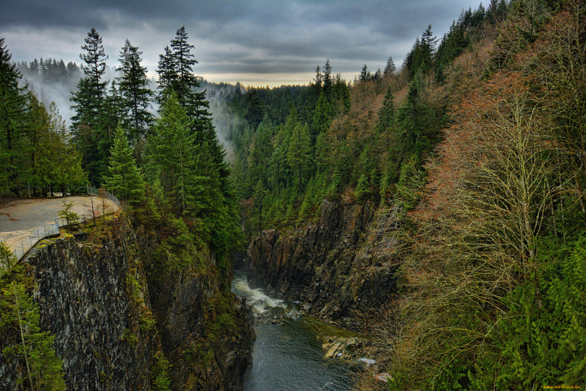 природа, реки, озера, река, лес