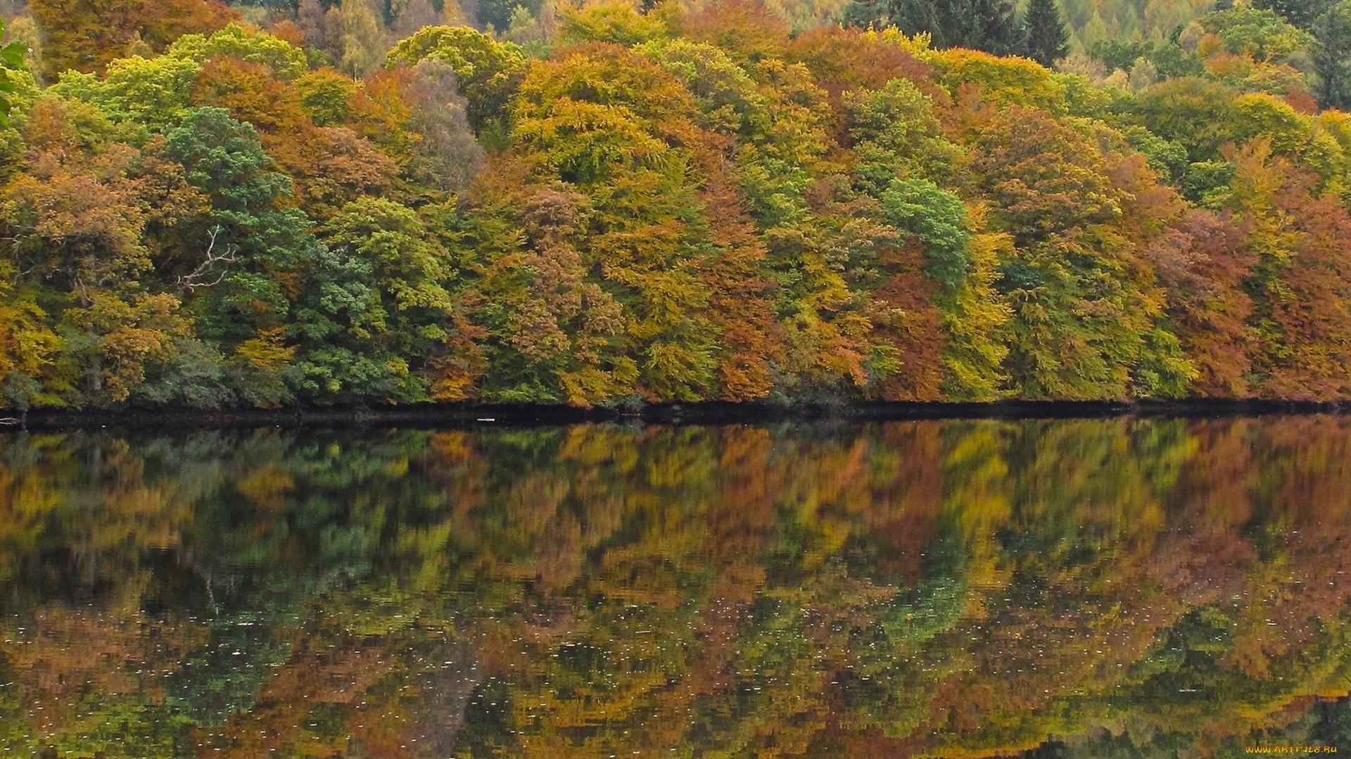 loch, faskally, scotland, природа, реки, озера, loch, faskally