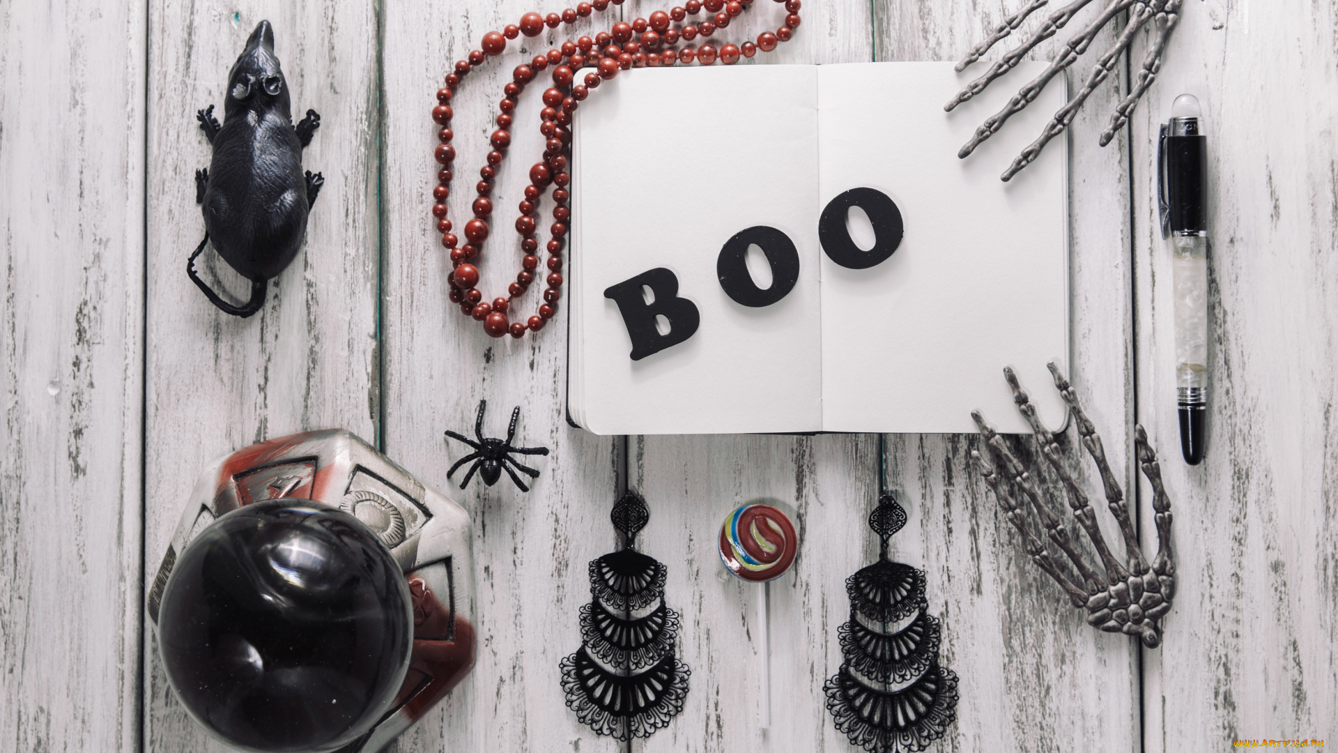 праздничные, хэллоуин, надпись, скелет, мыш, паук, праздник