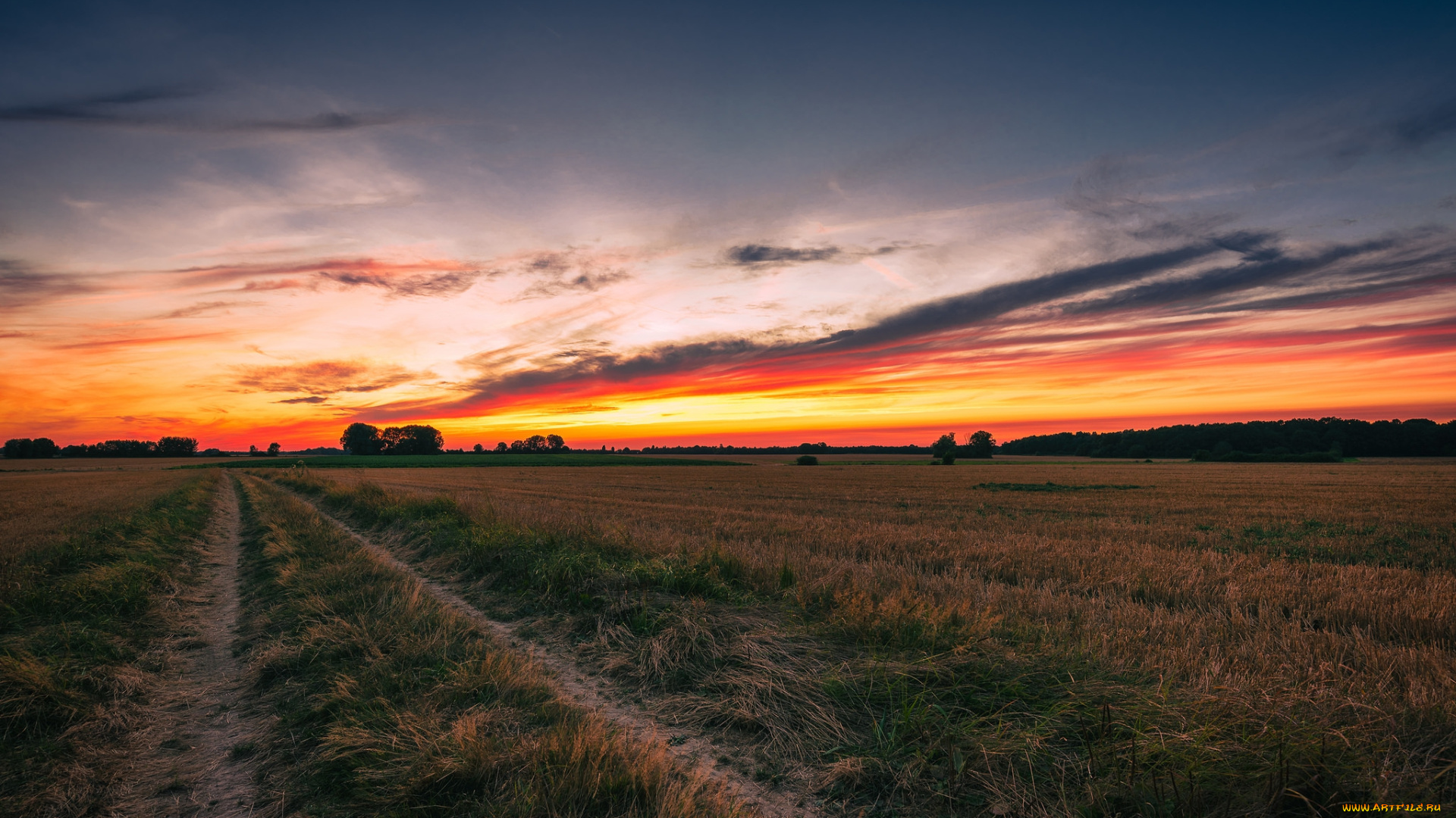 природа, дороги, простор