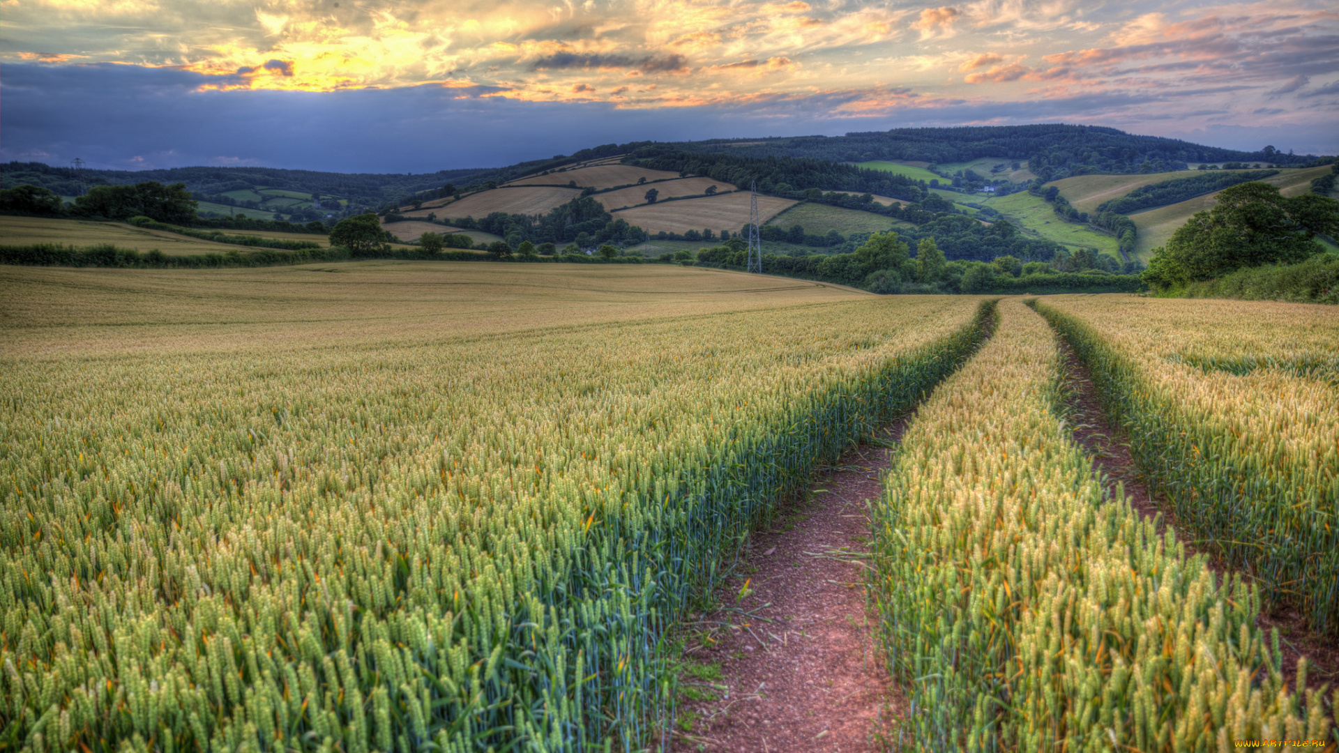 природа, дороги, простор