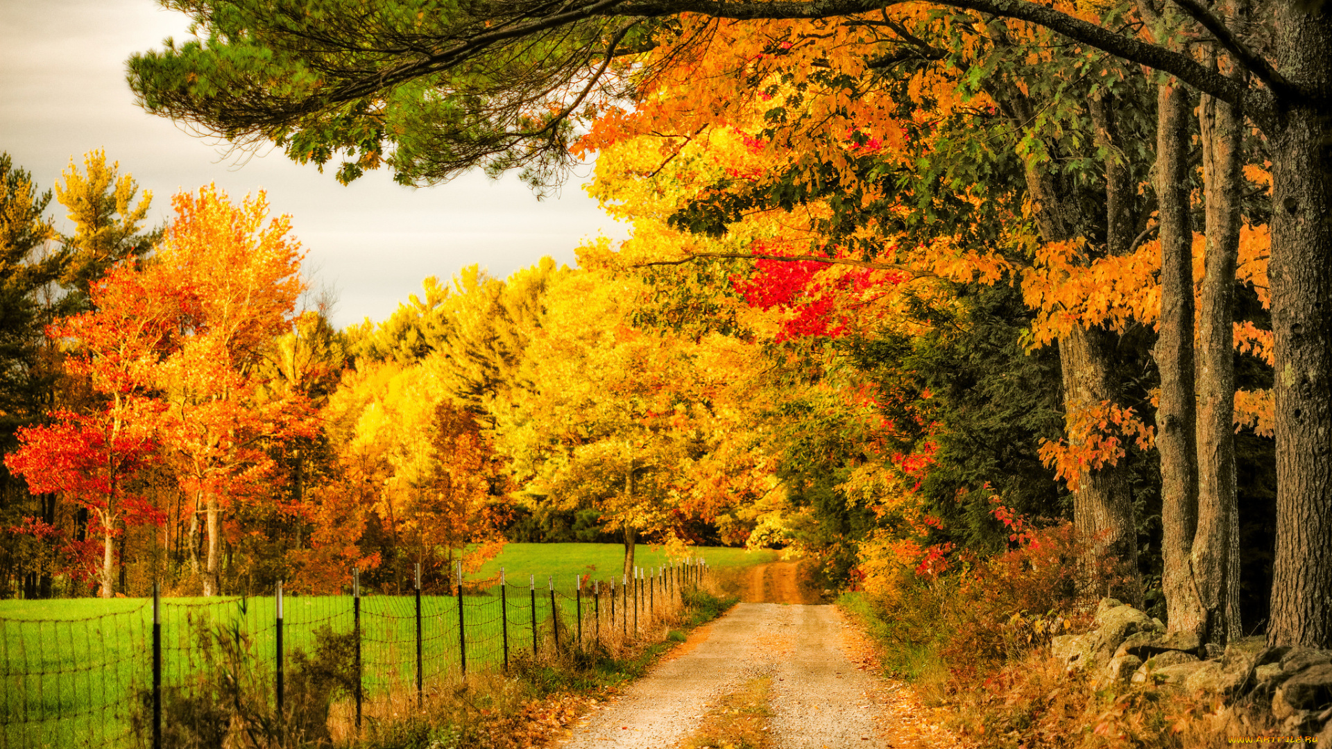 природа, дороги, простор