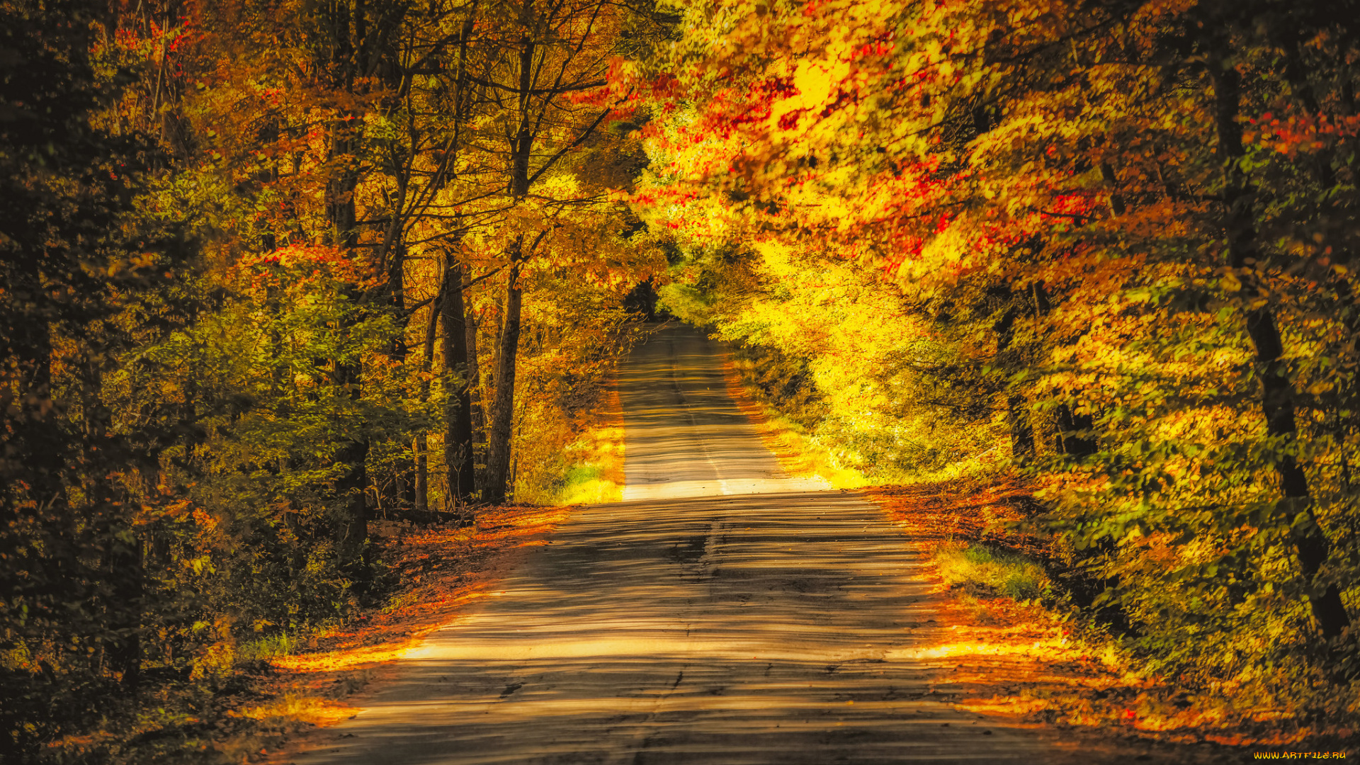 природа, дороги, простор