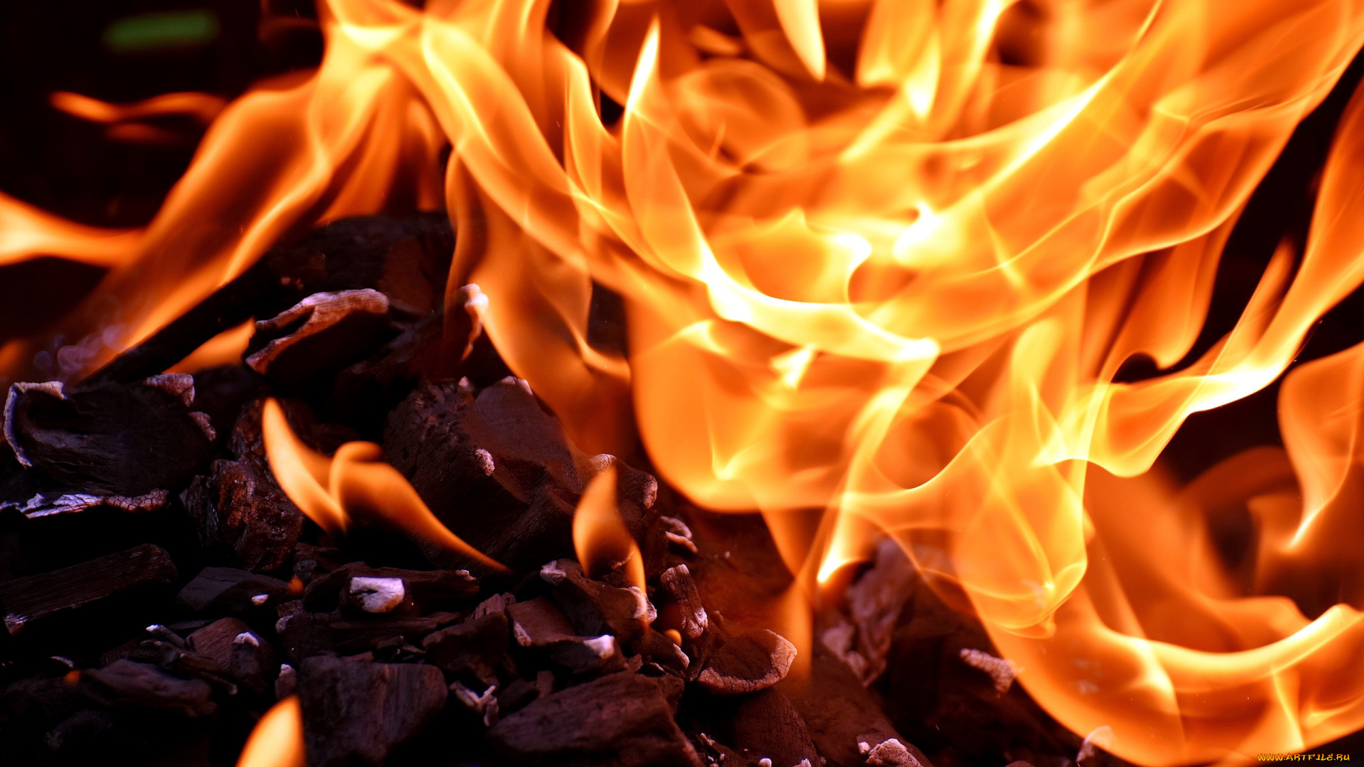 природа, огонь, пламя, уголь