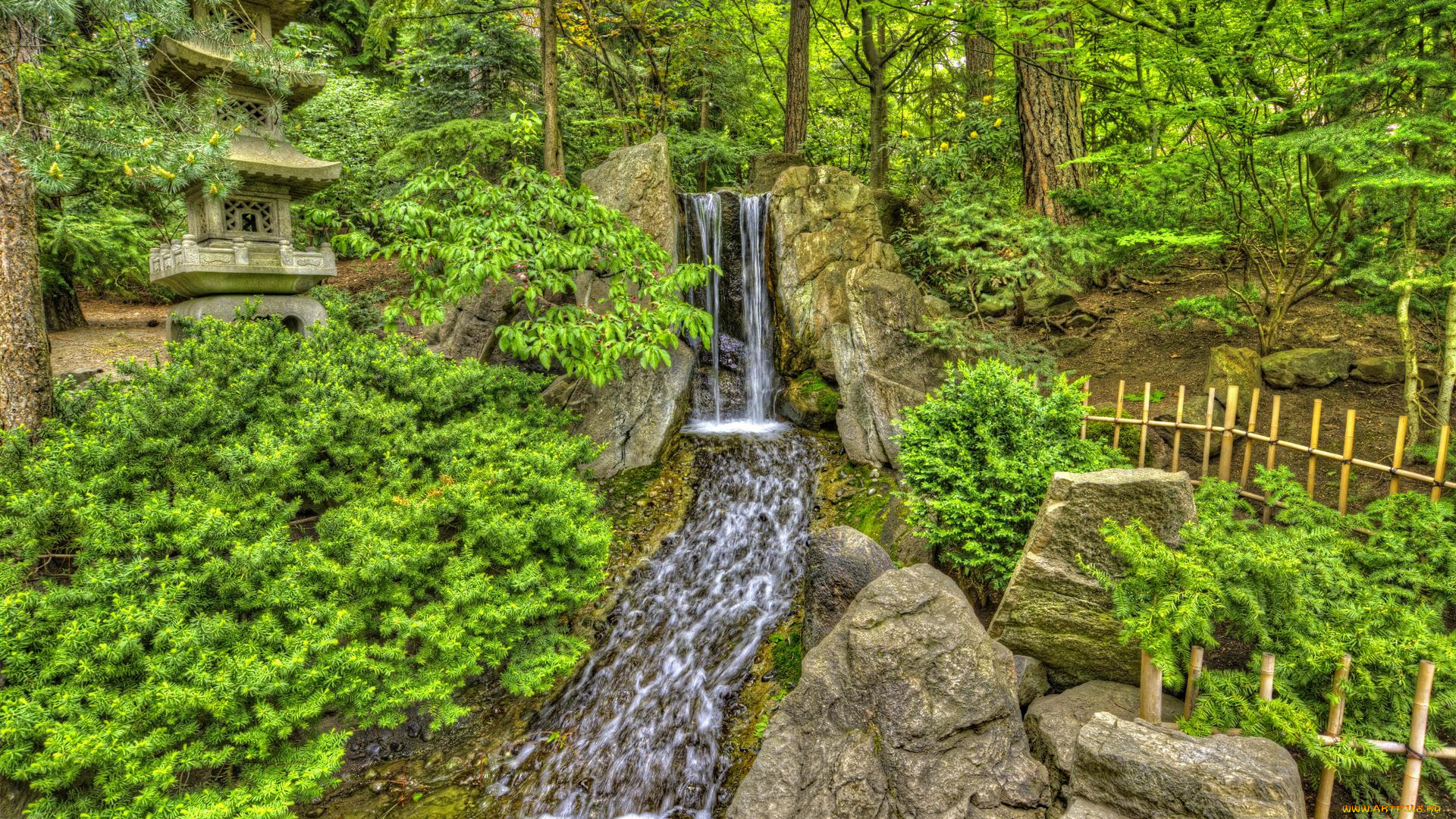 природа, парк, штат, вашингтон, спокан, японский, сад, в, Японском, саду