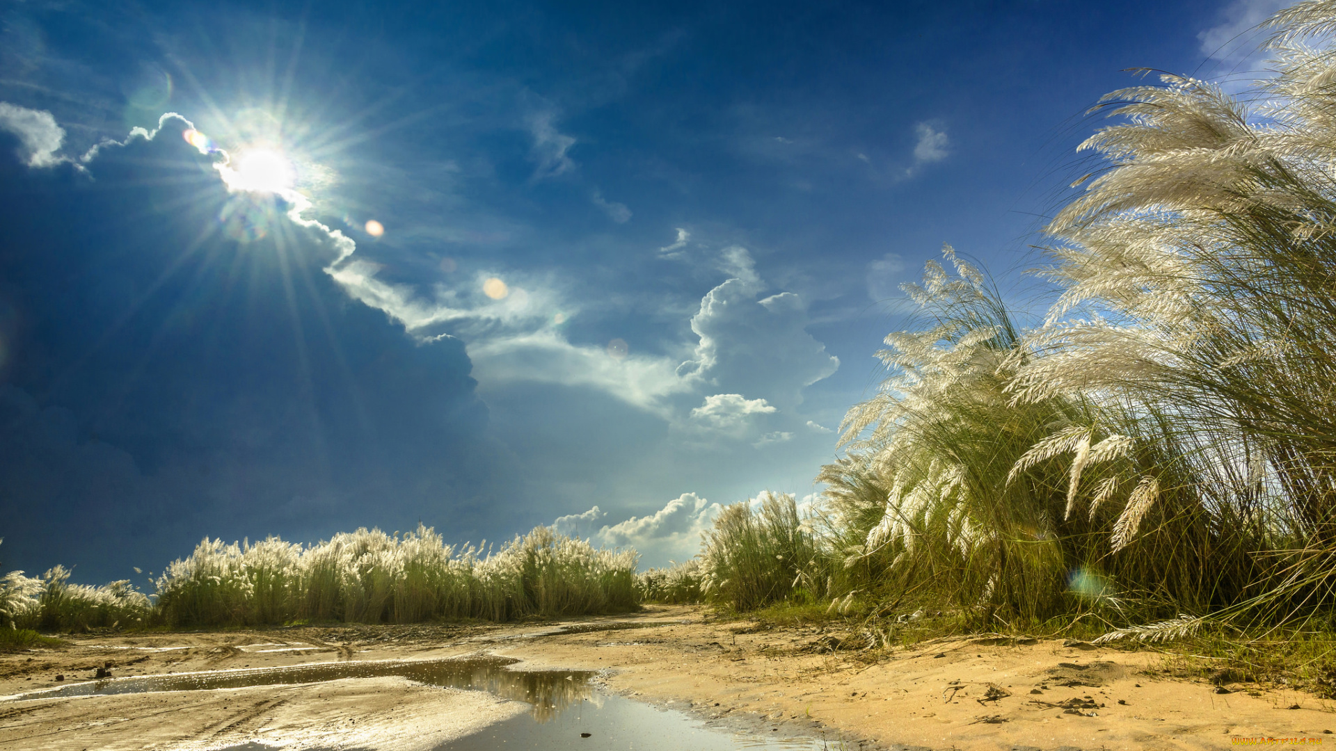 природа, пейзажи, простор